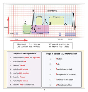 12 Lead EKG Pocket Card,Used