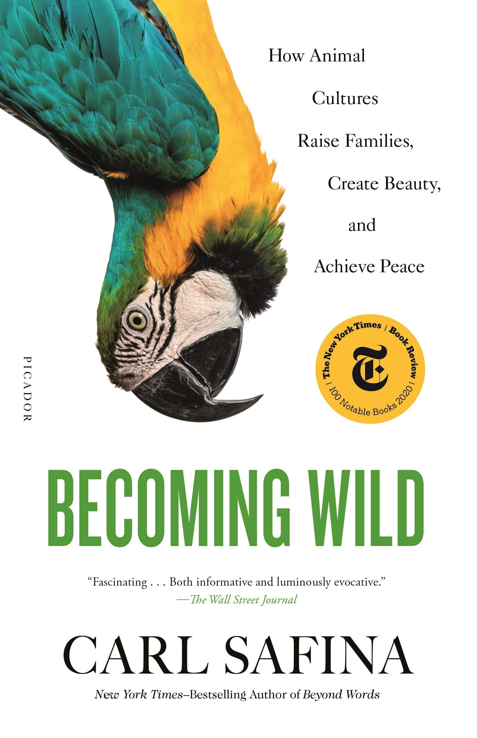 Becoming Wild,Used