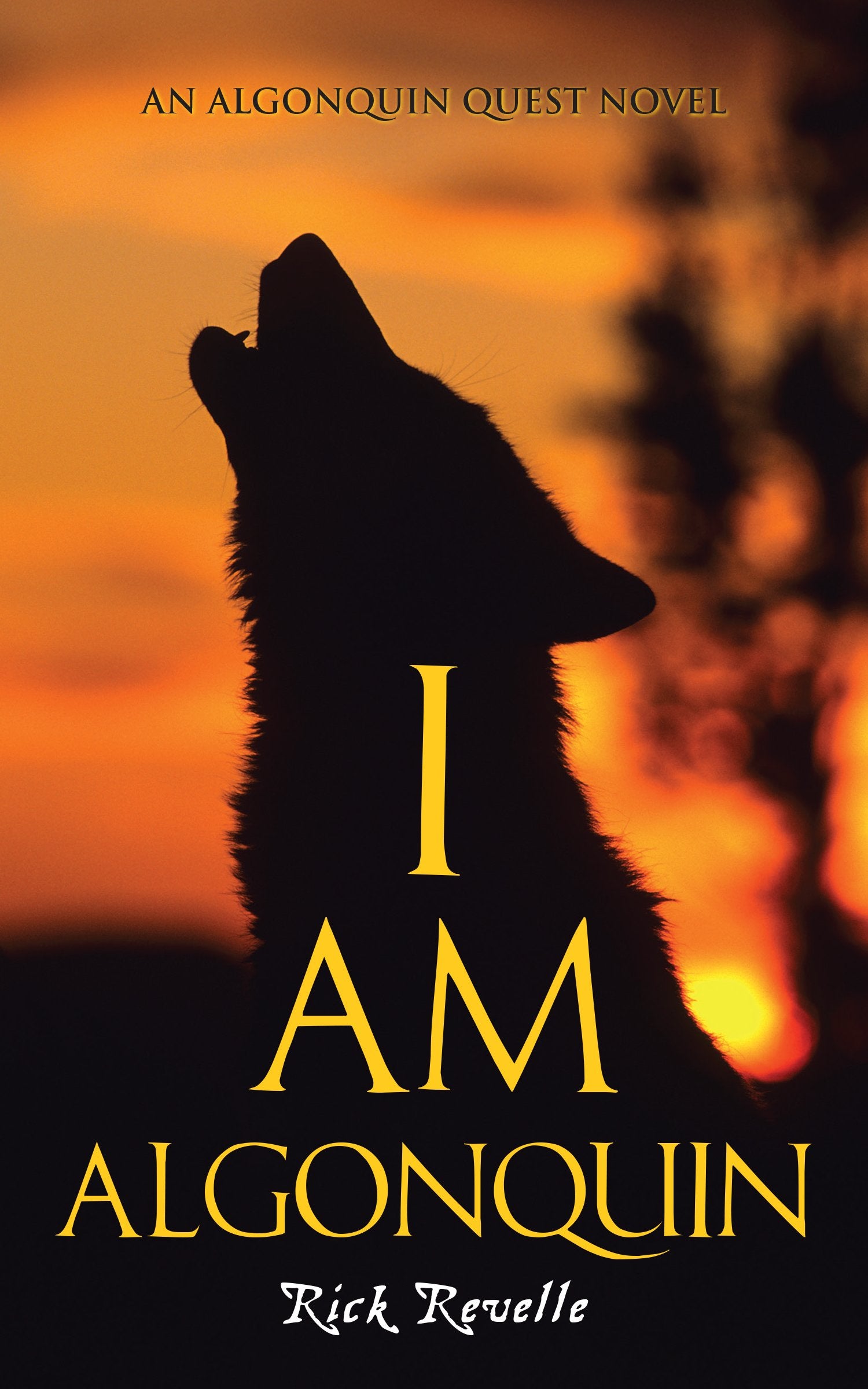 I Am Algonquin: An Algonquin Quest Novel (An Algonguin Quest Novel, 1),Used