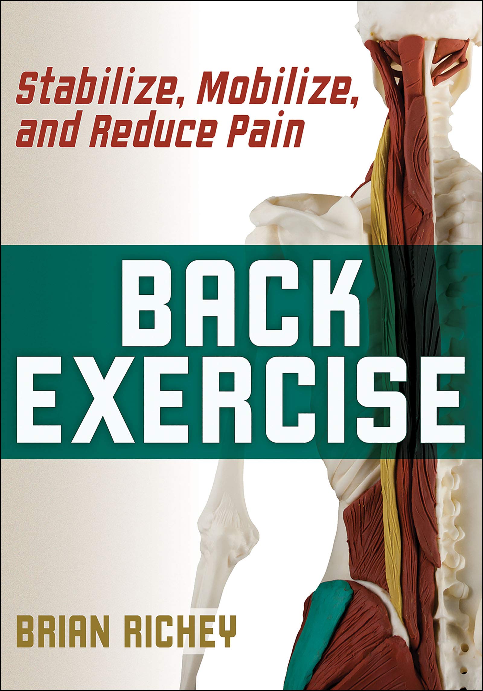 Back Exercise: Stabilize, Mobilize, and Reduce Pain,Used