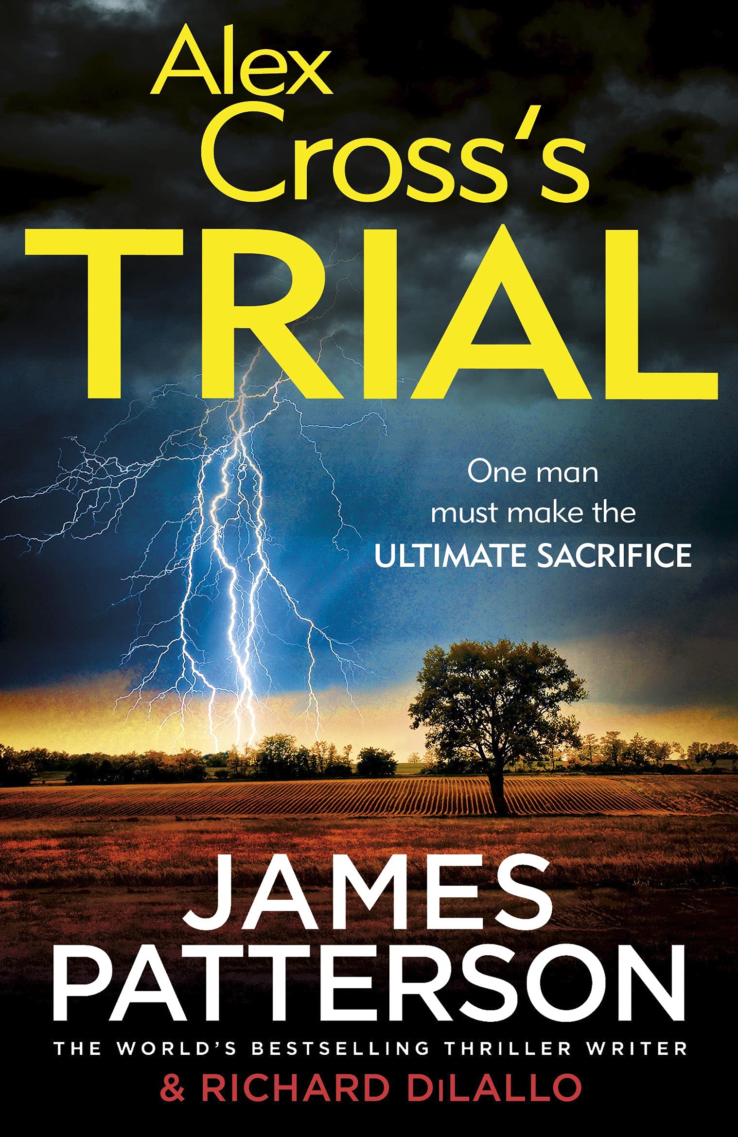 Alex Cross's Trial,Used