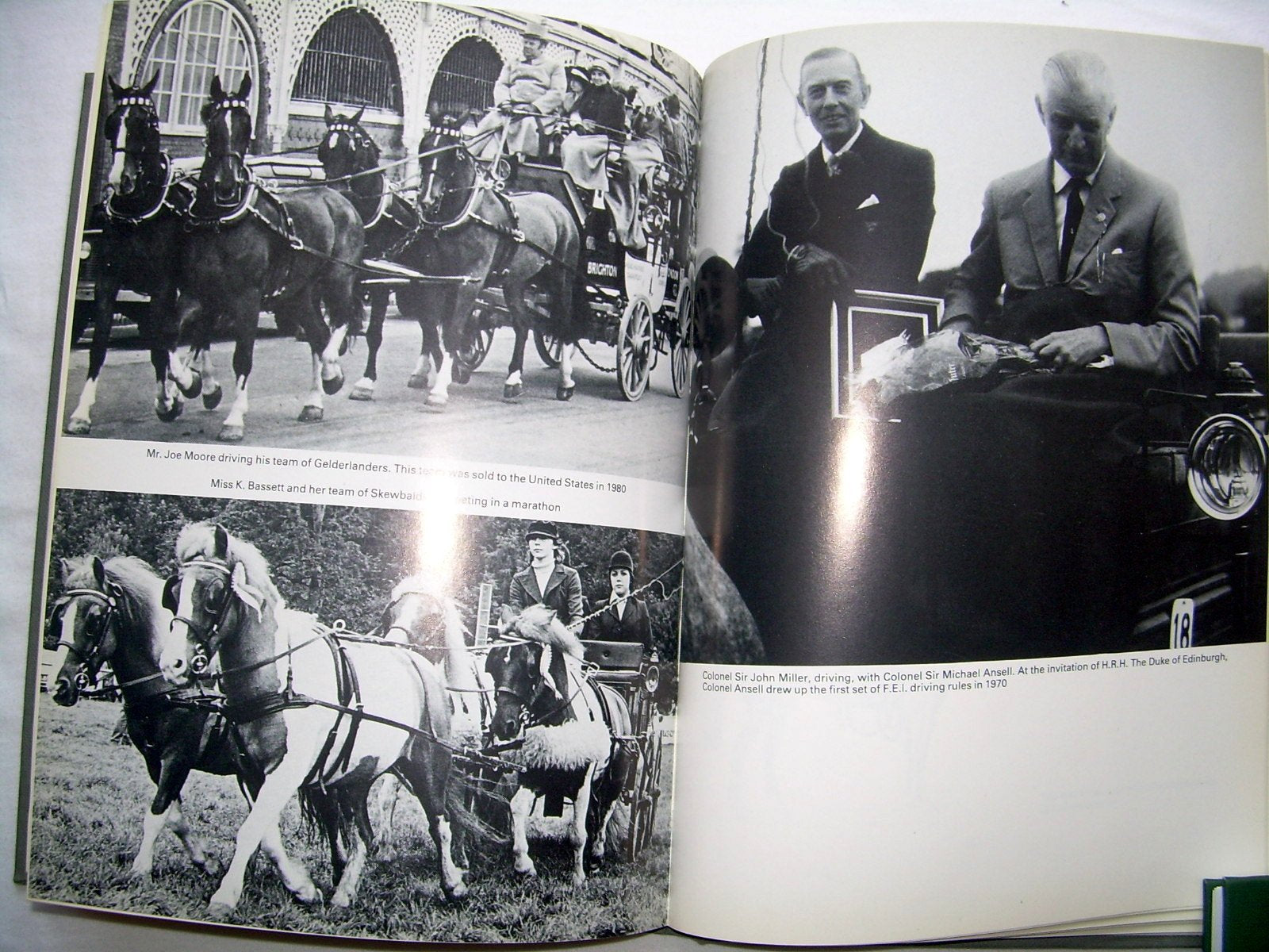 The Art of Driving According to the Guidelines of Benno Von Achenbach,Used