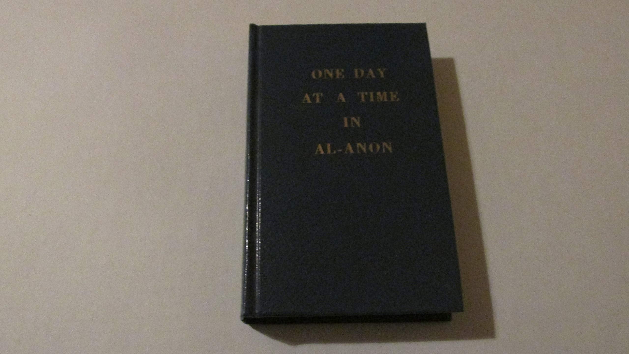 One Day at a Time in AlAnon VideoGames,New