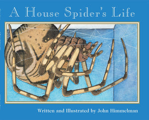 A House Spider's Life (Nature Upclose),Used