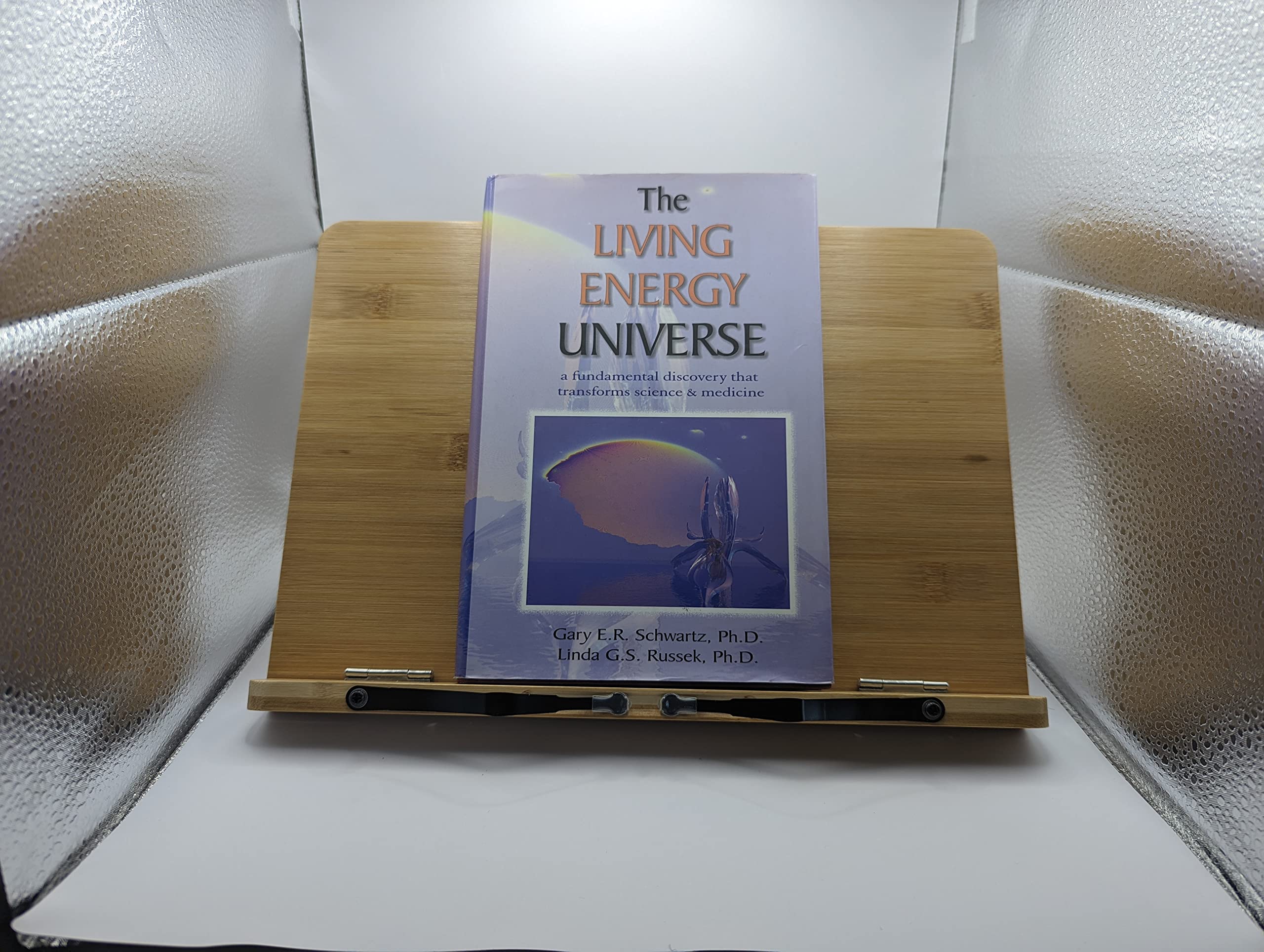 The Living Energy Universe