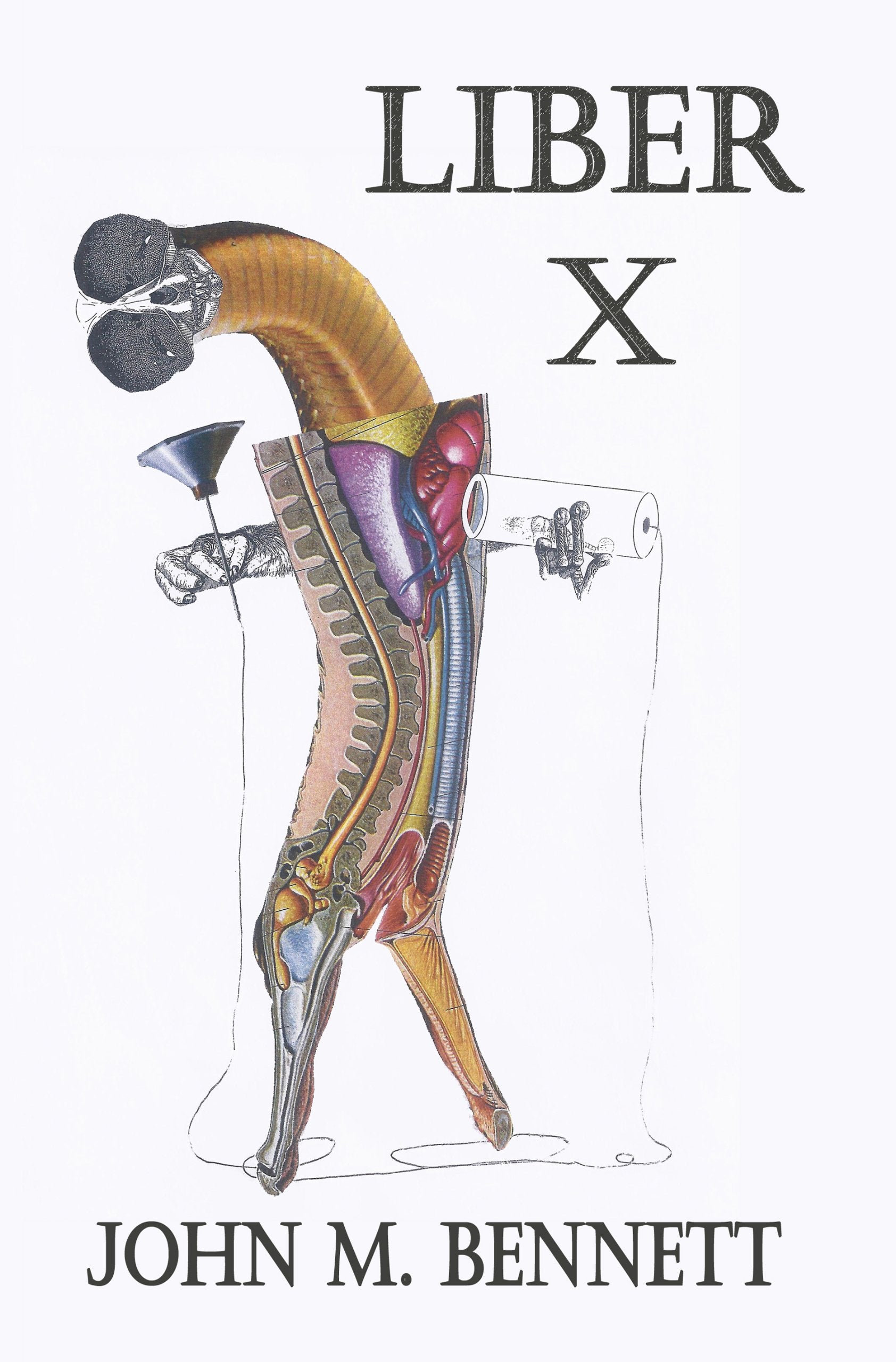 Liber X,Used