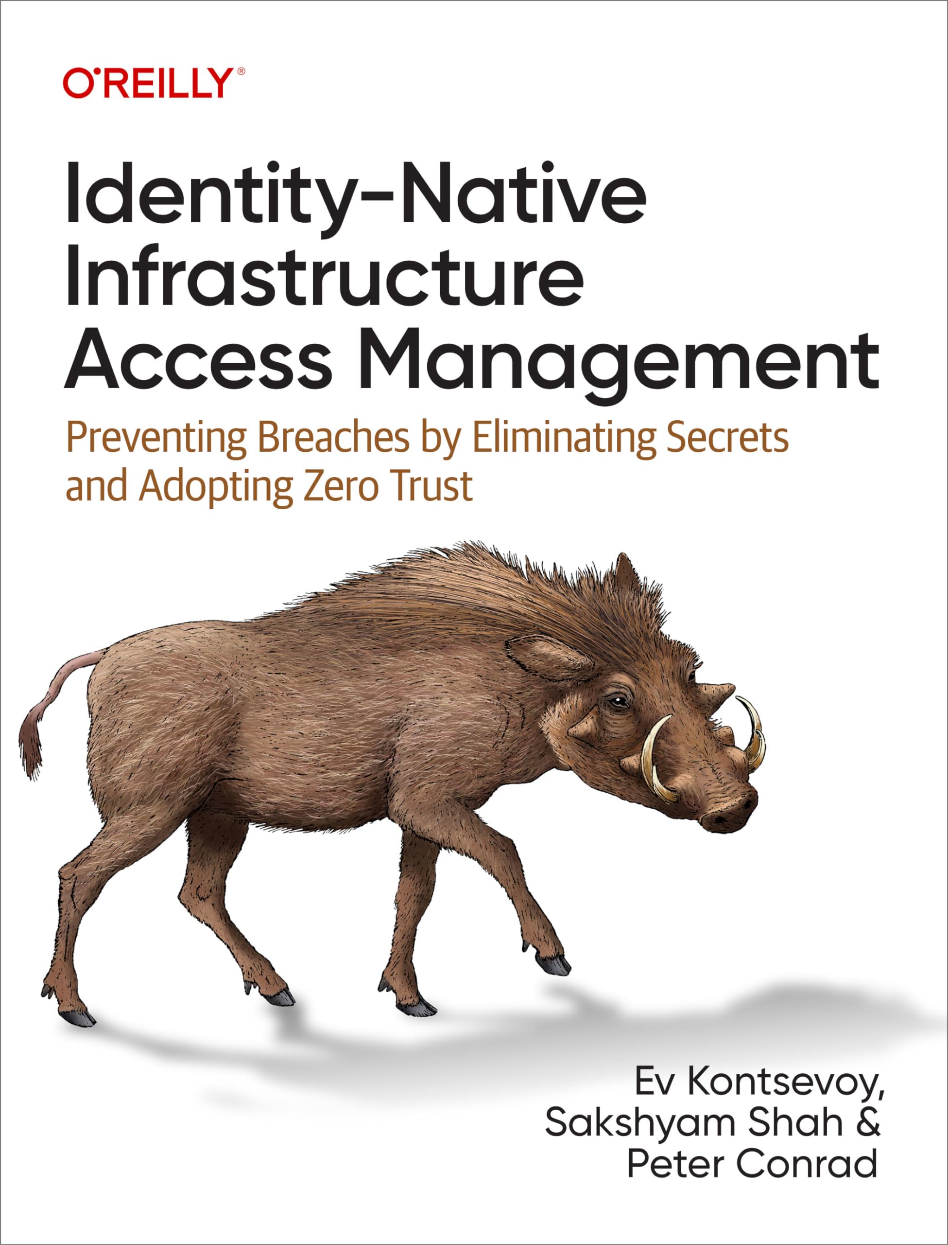Identitynative Infrastructure Access Management: Preventing Breaches By Eliminating Secrets And Adopting Zero Trust,Used