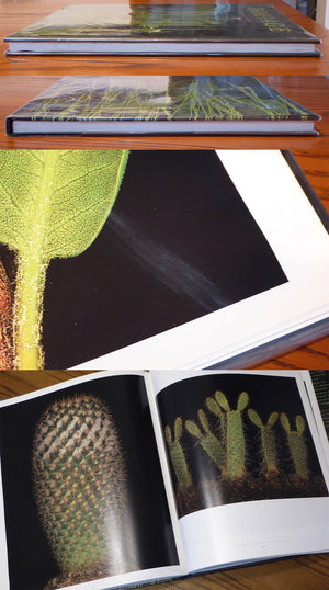 Foliage,New