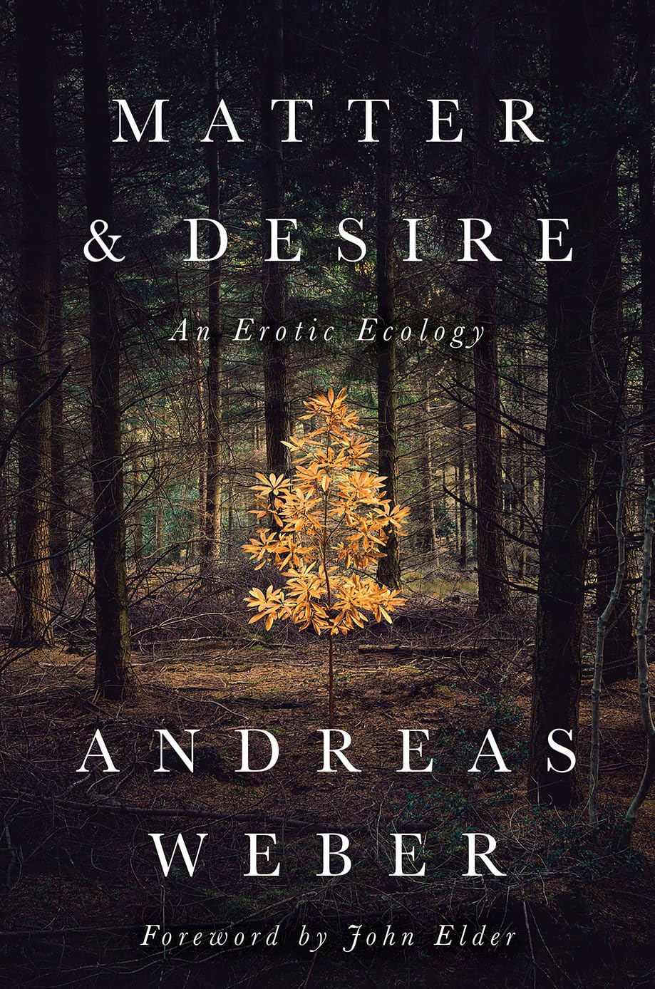 Matter and Desire: An Erotic Ecology,Used