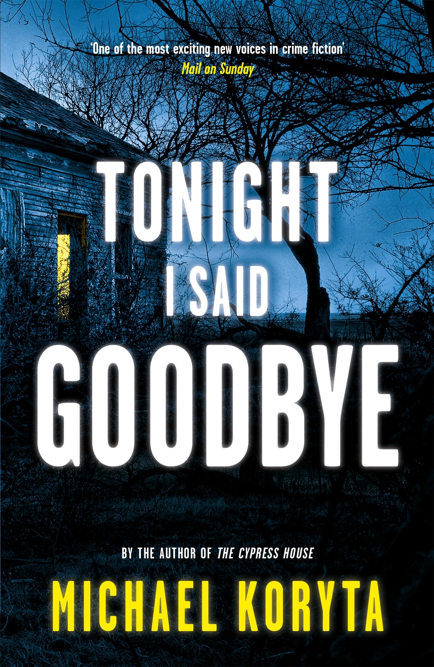 Tonight I Said Goodbye: Lincoln Perry 1,Used