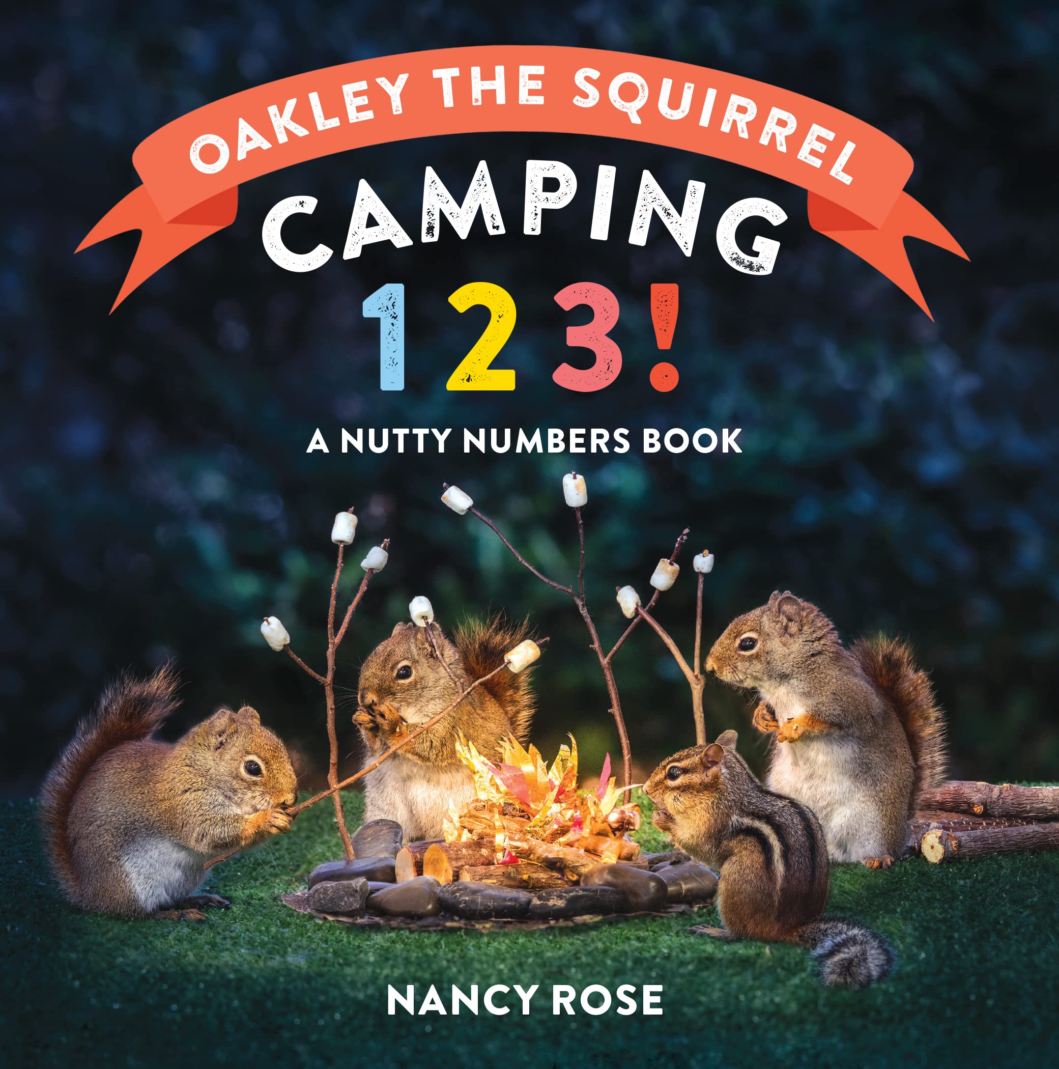 Oakley The Squirrel: Camping 1, 2, 3!: A Nutty Numbers Book,Used