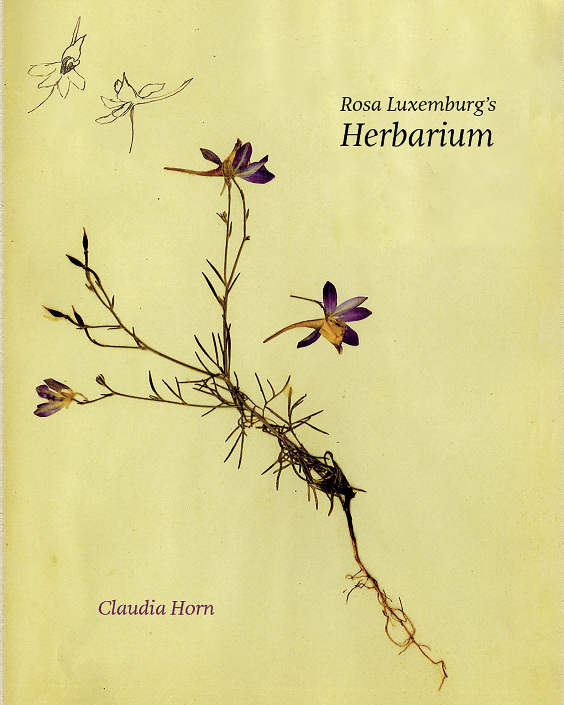 Rosa LuxemburgS Herbarium
