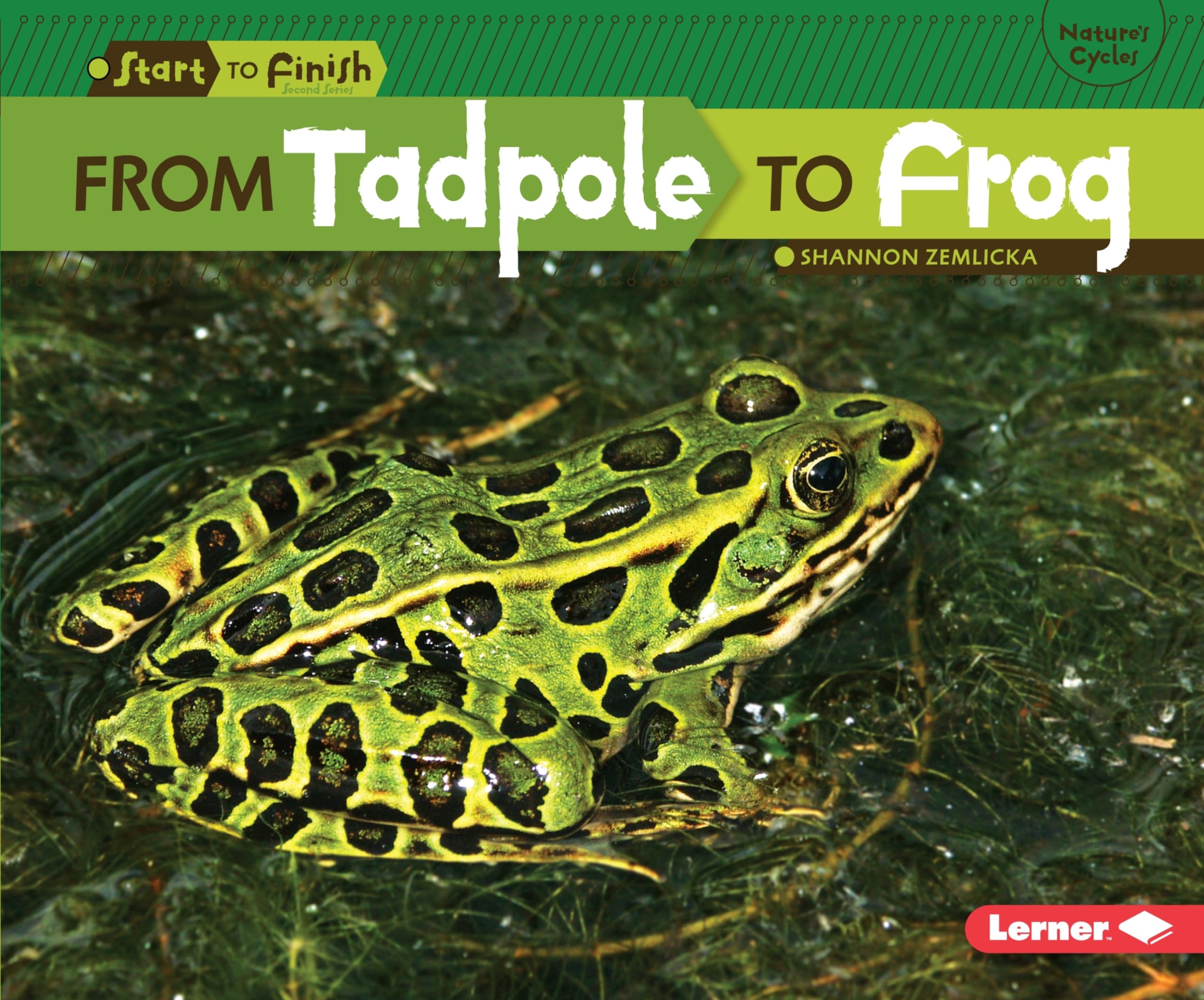 From Tadpole to Frog (Start to Finish, Second Series),Used