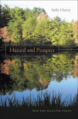 Hazard And Prospect: New And Selected Poems,New