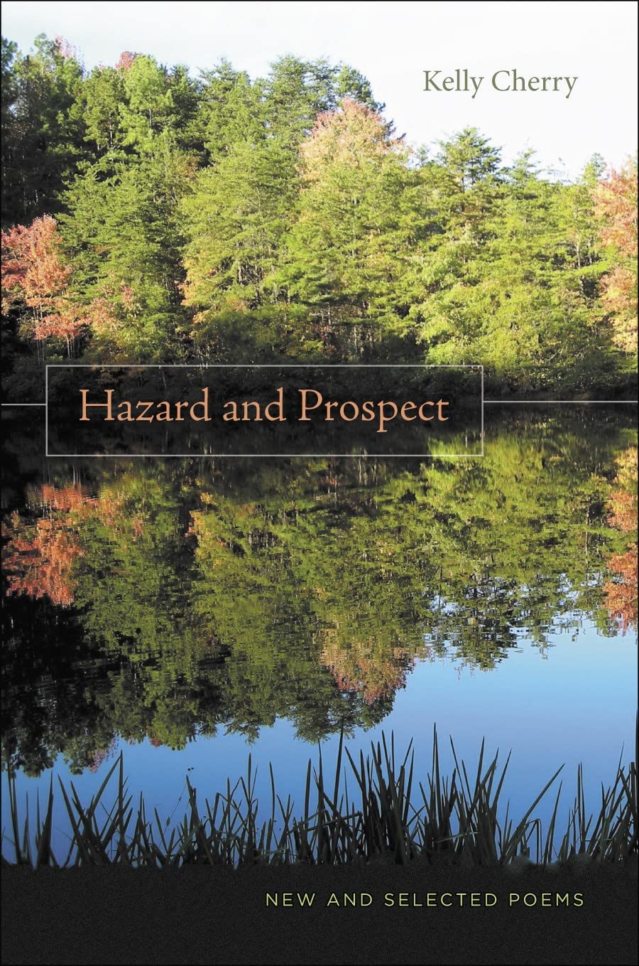 Hazard And Prospect: New And Selected Poems,New