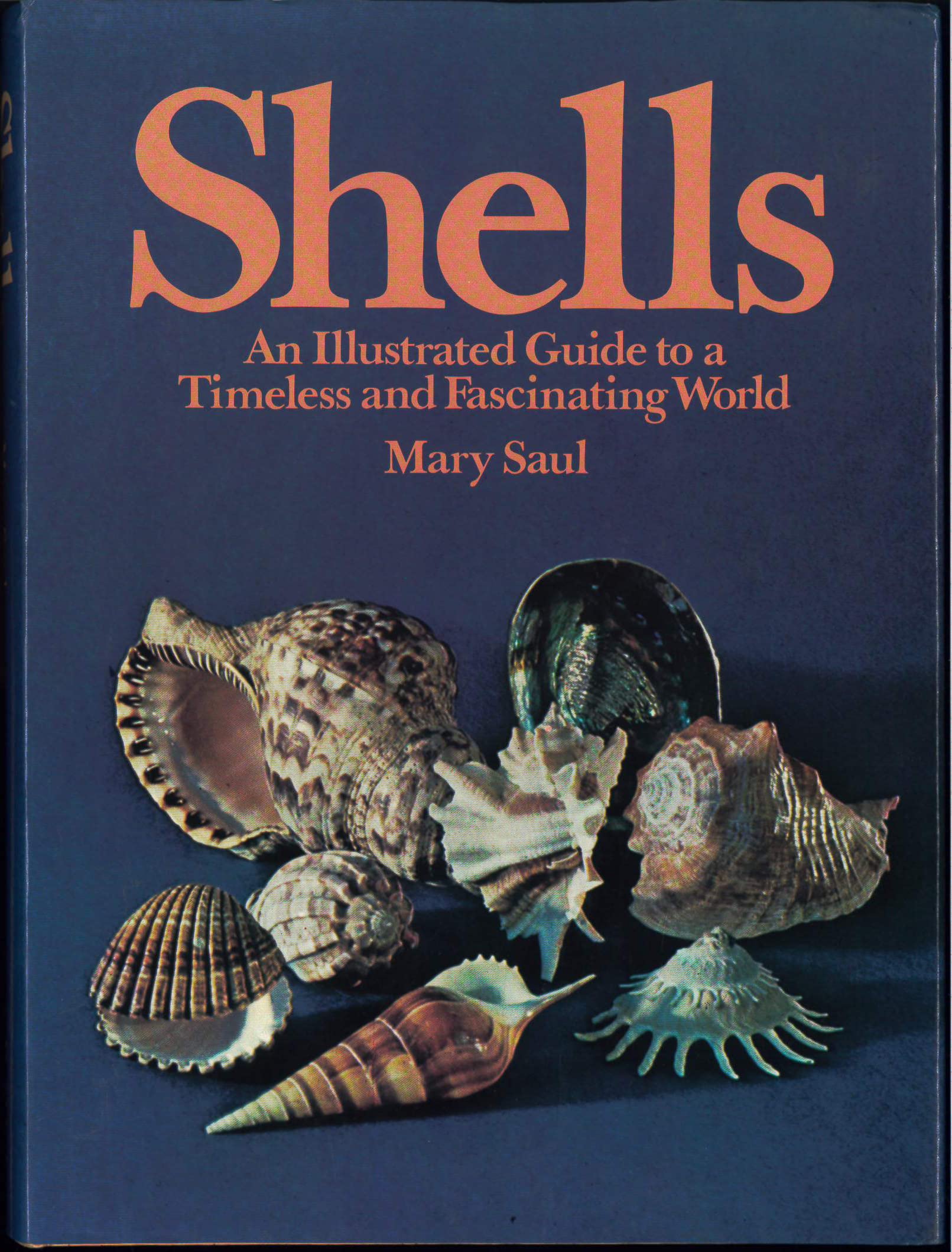 Shells: An illustrated guide to a timeless and fascinating world,Used