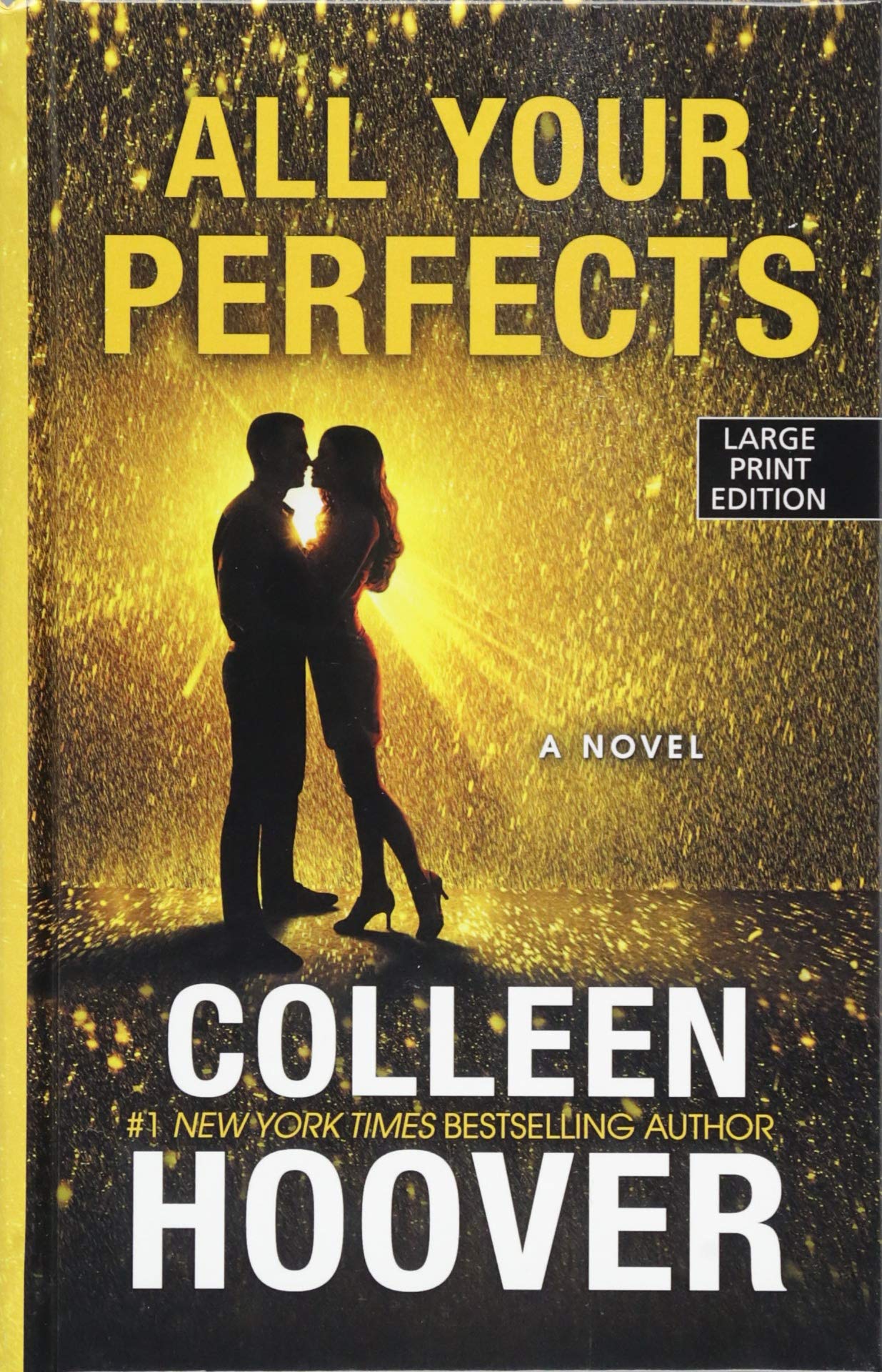 All Your Perfects (Thorndike Press Large Print Women's Fiction),Used