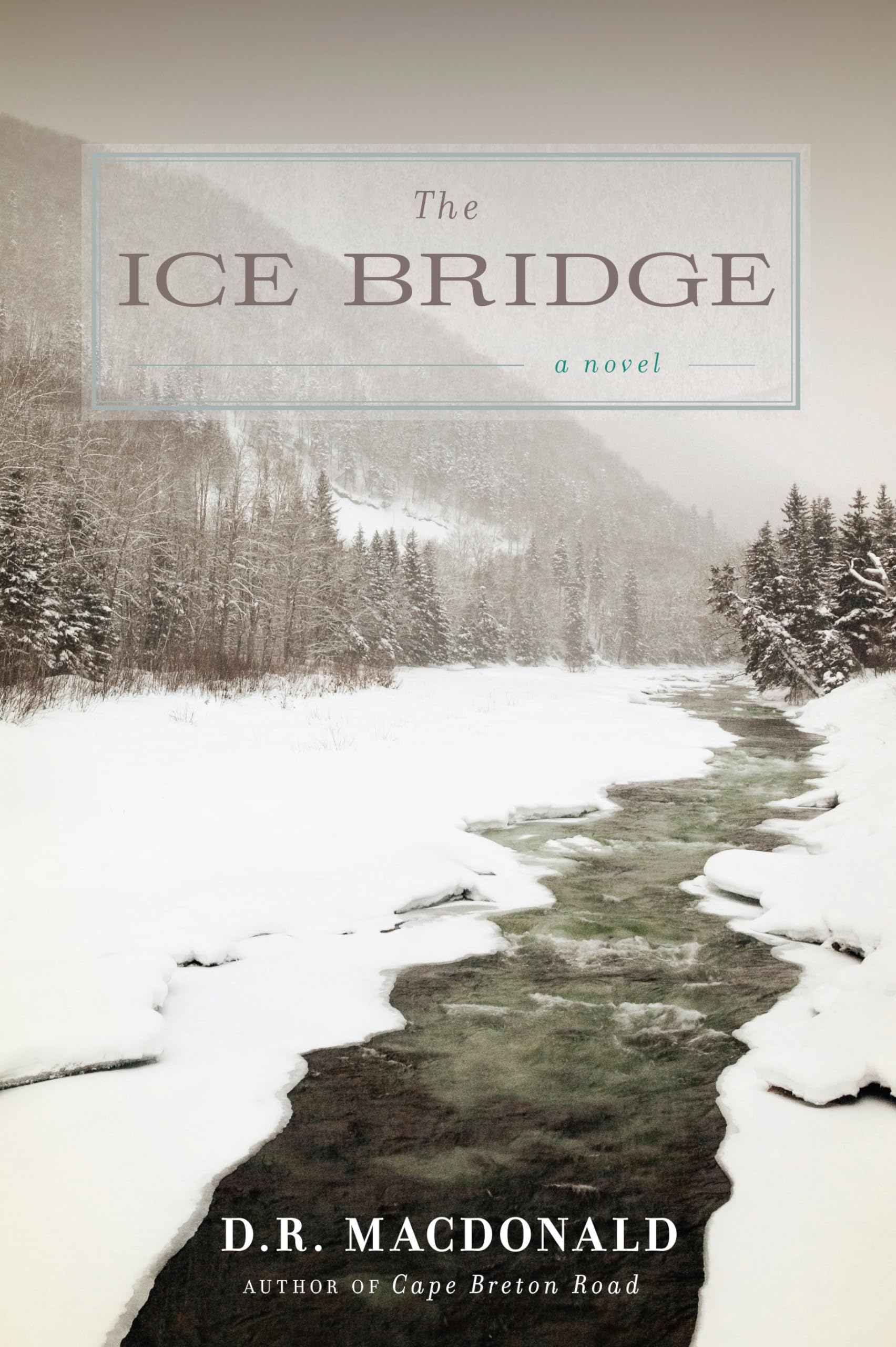 The Ice Bridge: A Novel,Used