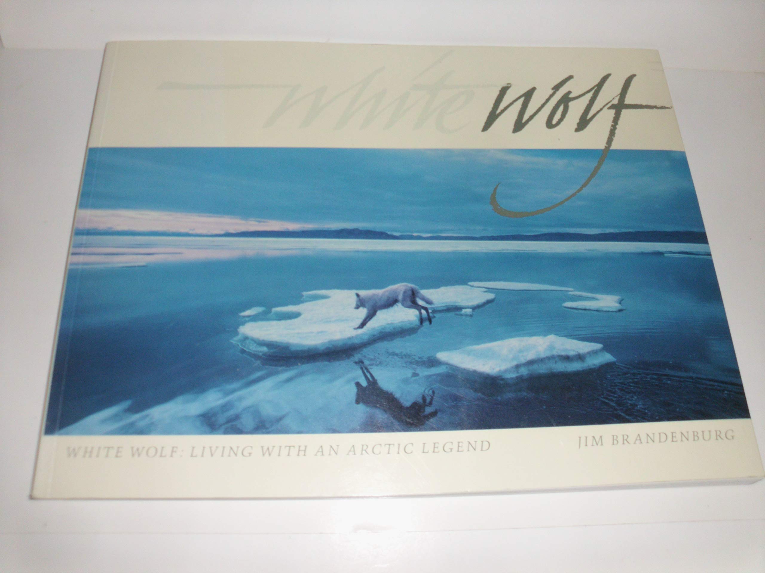 White Wolf: Living With an Arctic Legend,New
