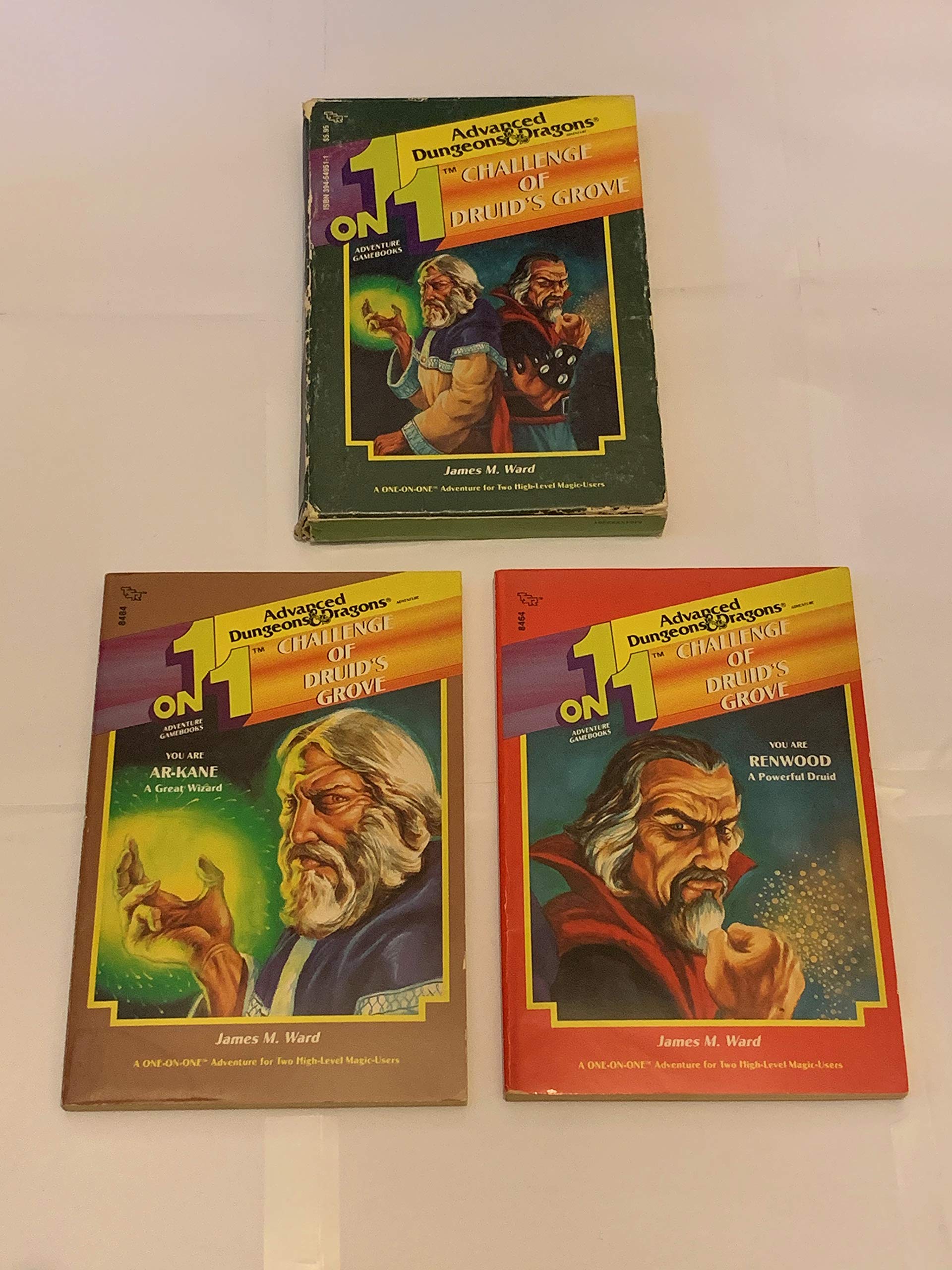 Challenge of Druid's Grove (1 ON 1 Adventure Gamebooks) [2 Book Set],Used