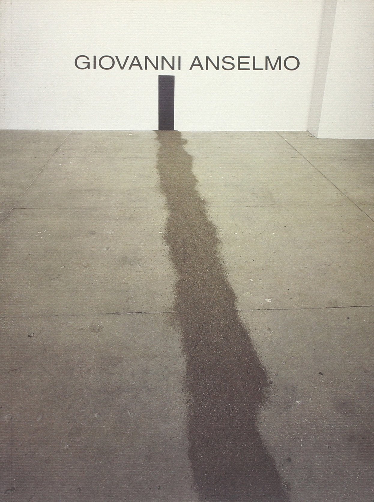 Giovanni Anselmo,Used