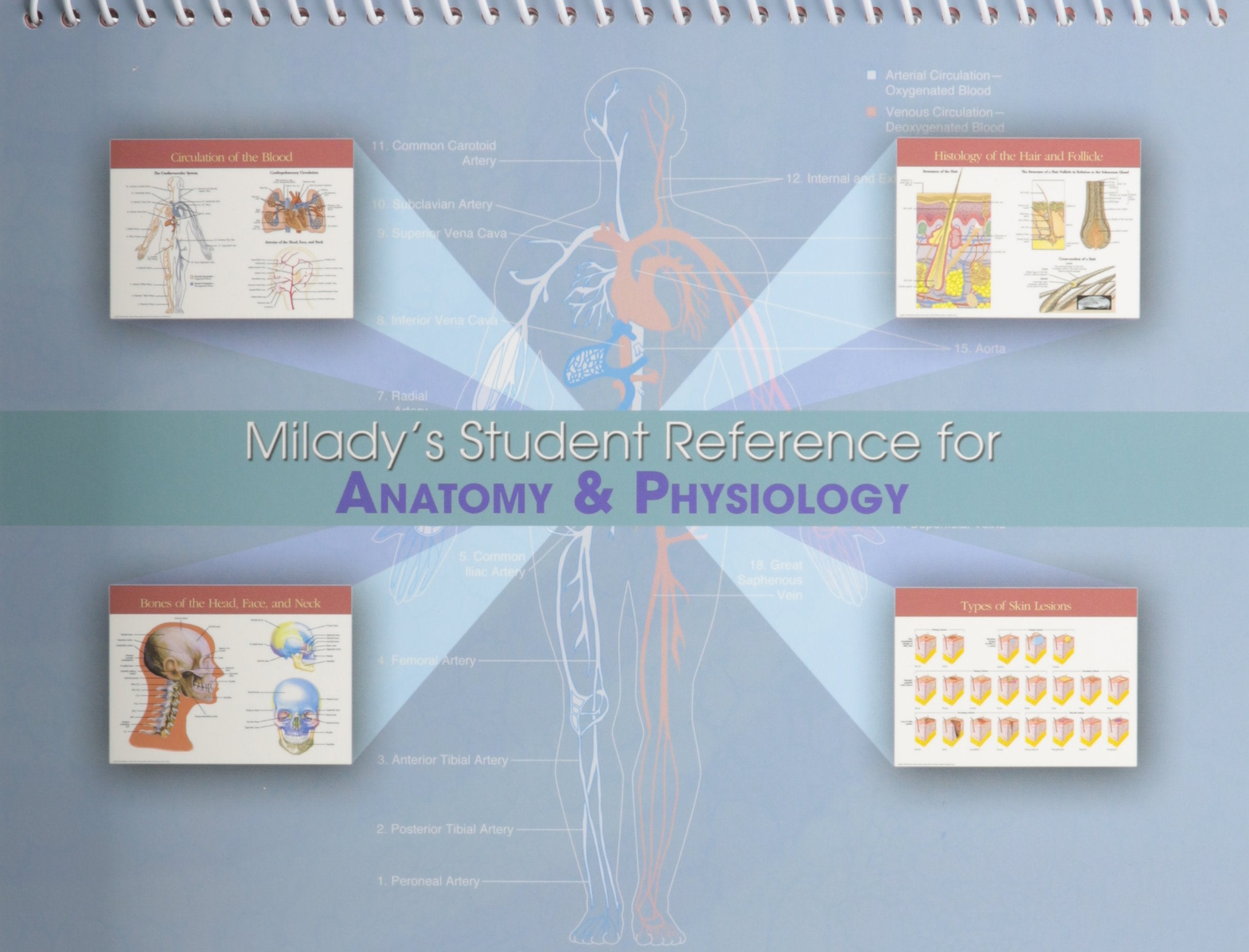 Milady'S Student Reference For Anatomy & Physiology