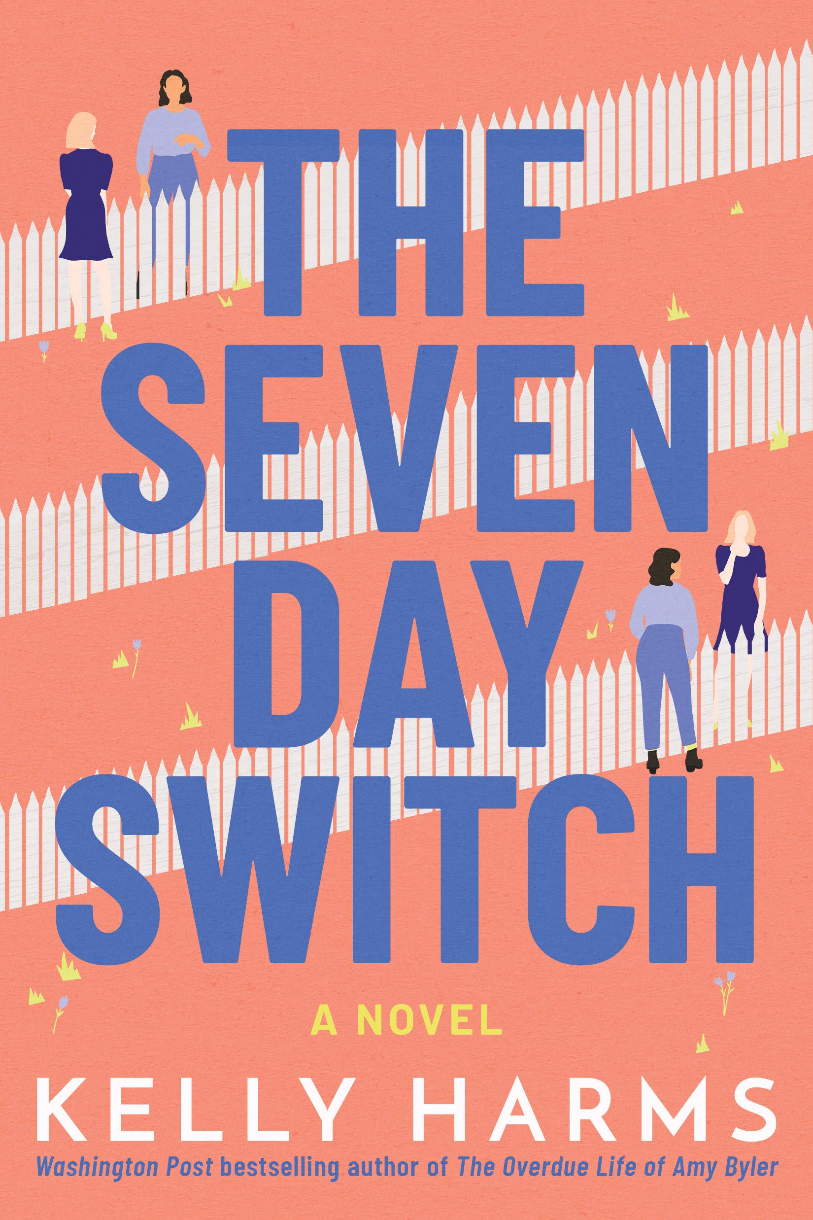 The Seven Day Switch: A Novel,Used