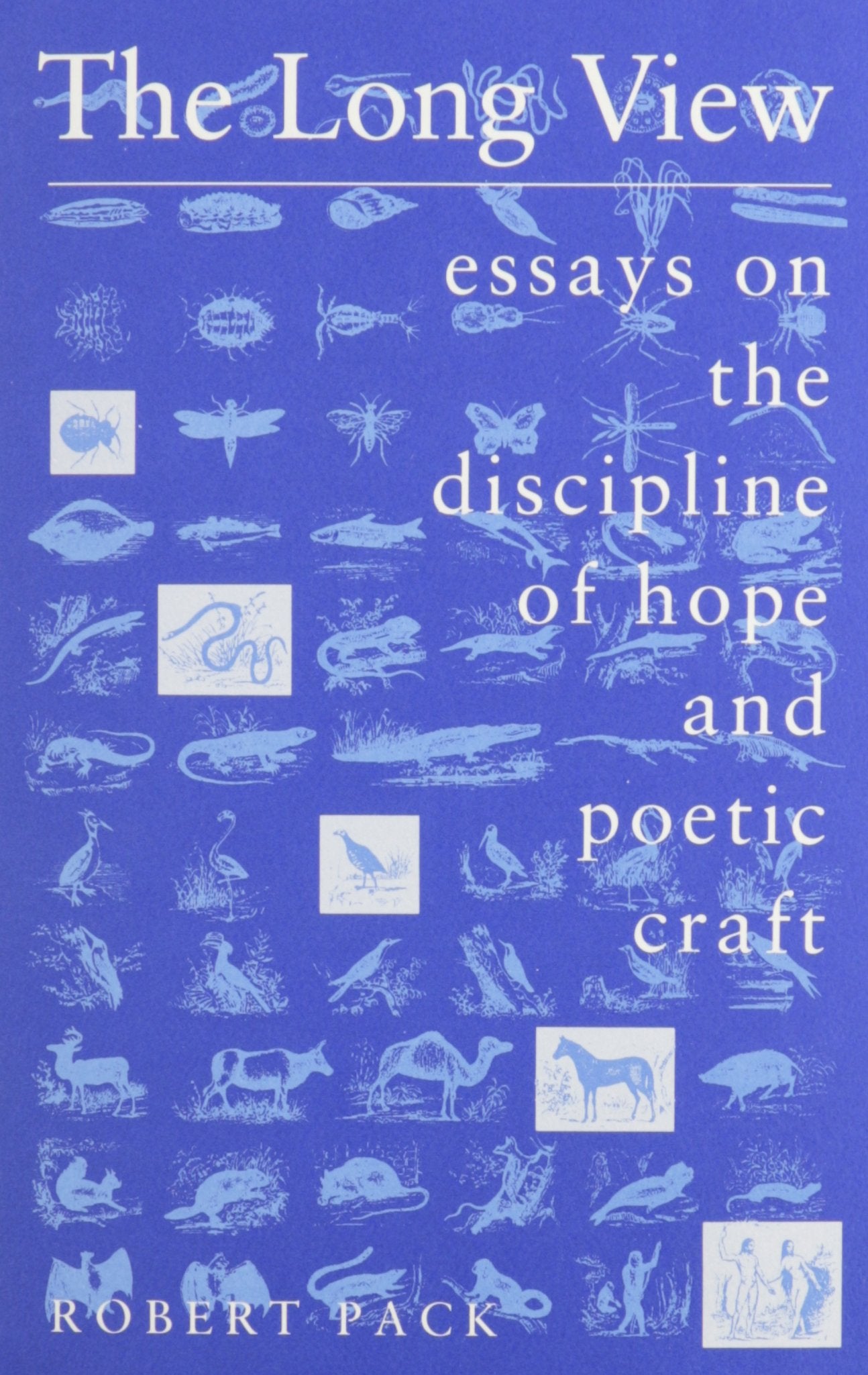 The Long View: Essays On The Discipline Of Hope And Poetic Craft,Used