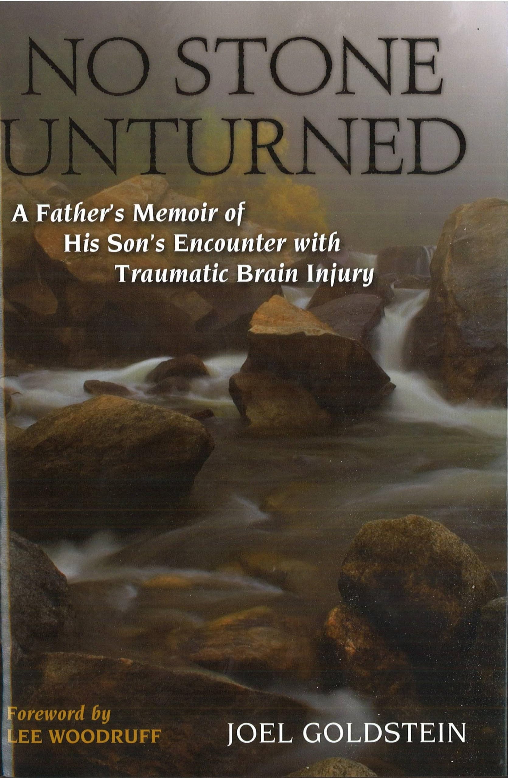 No Stone Unturned: A Father's Memoir of His Son's Encounter with Traumatic Brain Injury,Used