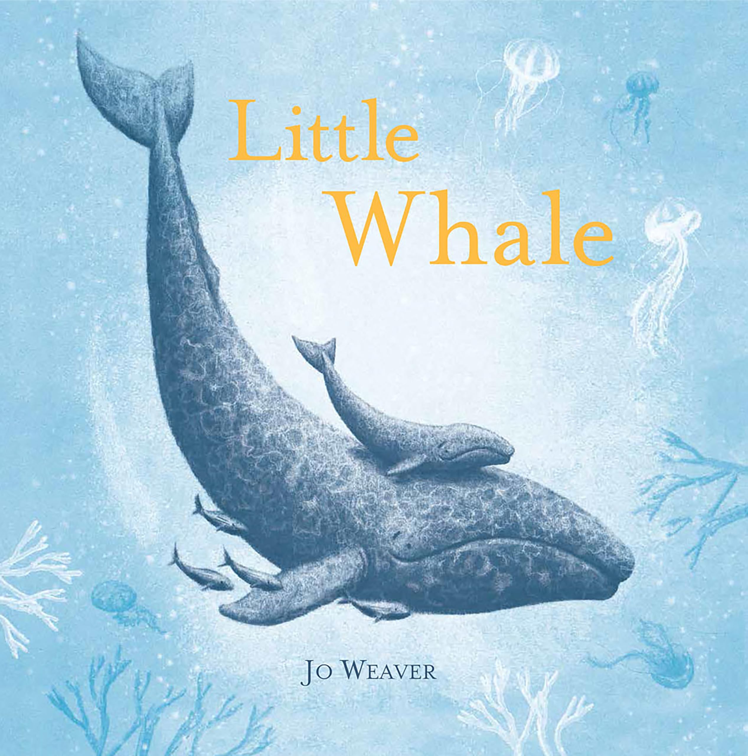 Little Whale,Used