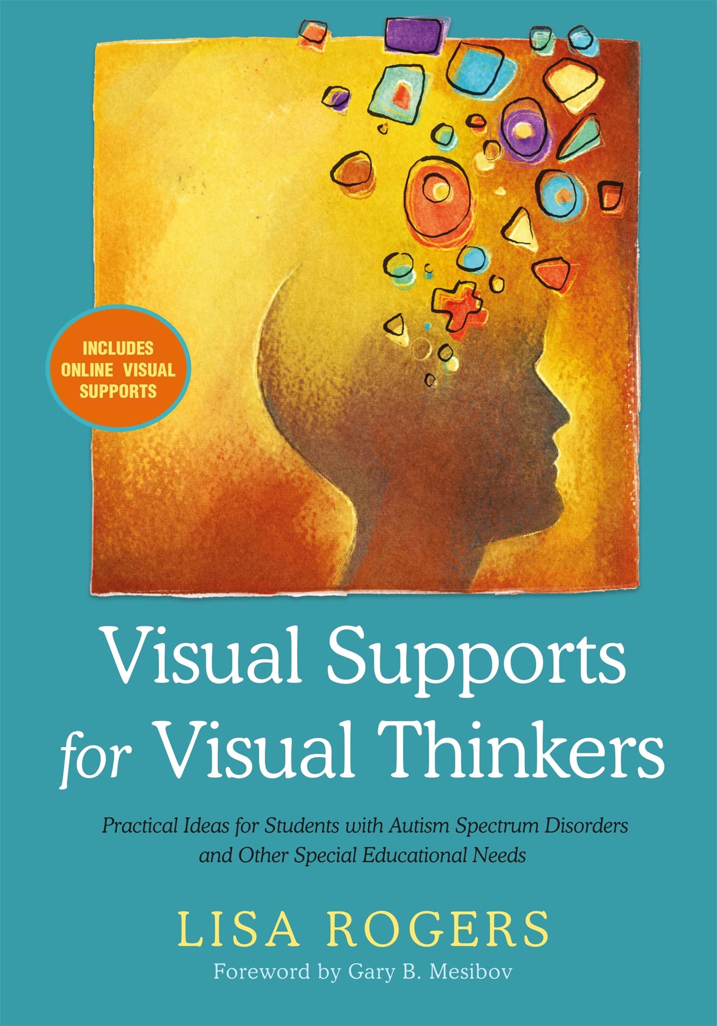 Visual Supports for Visual Thinkers,Used