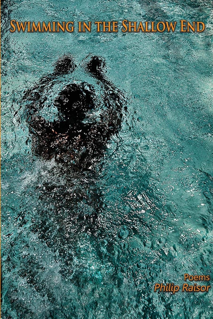 Swimming In The Shallow End,Used