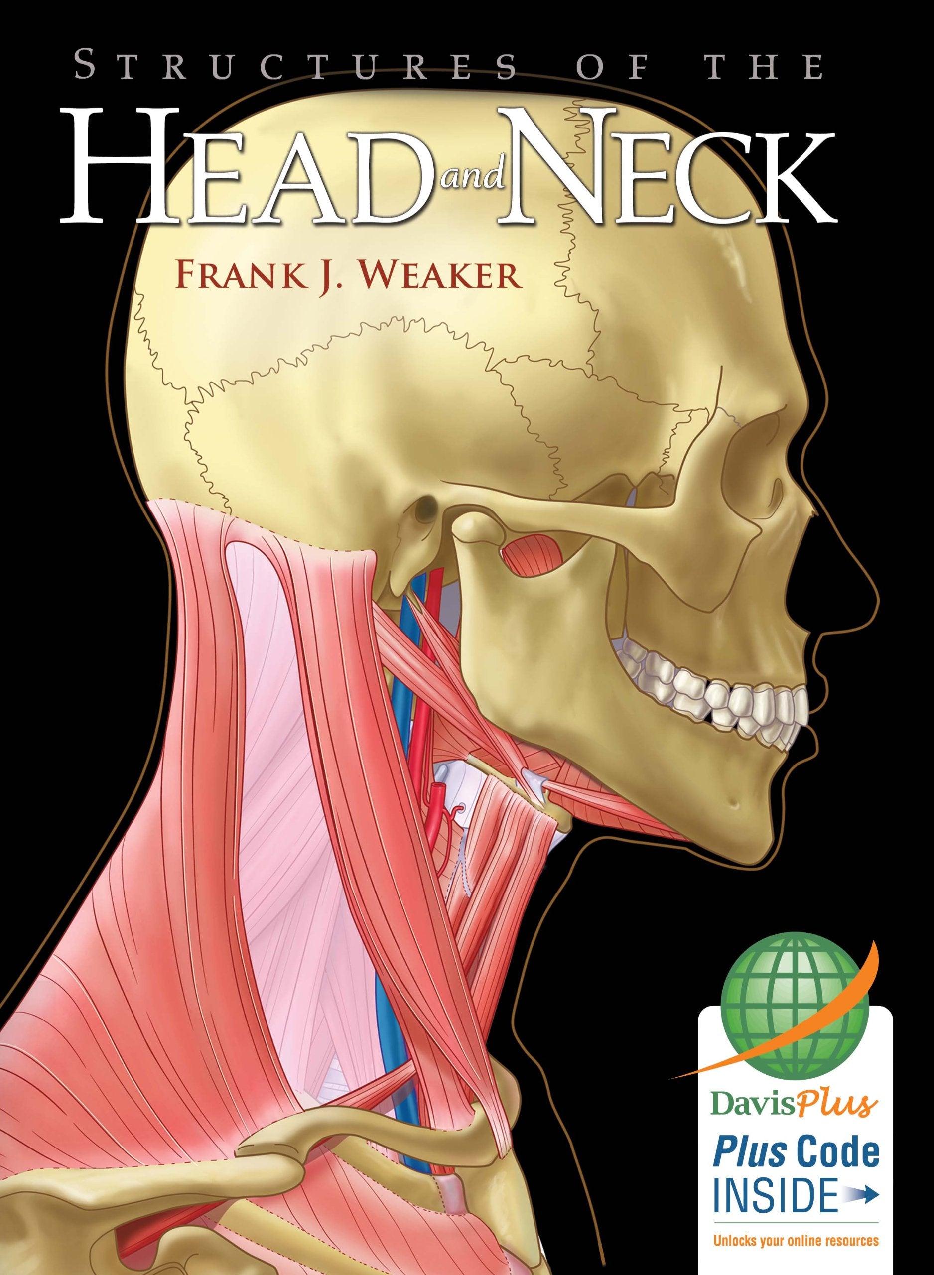Structures Of The Head And Neck,New
