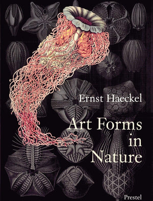 Art Forms in Nature: The Prints of Ernst Haeckel,New