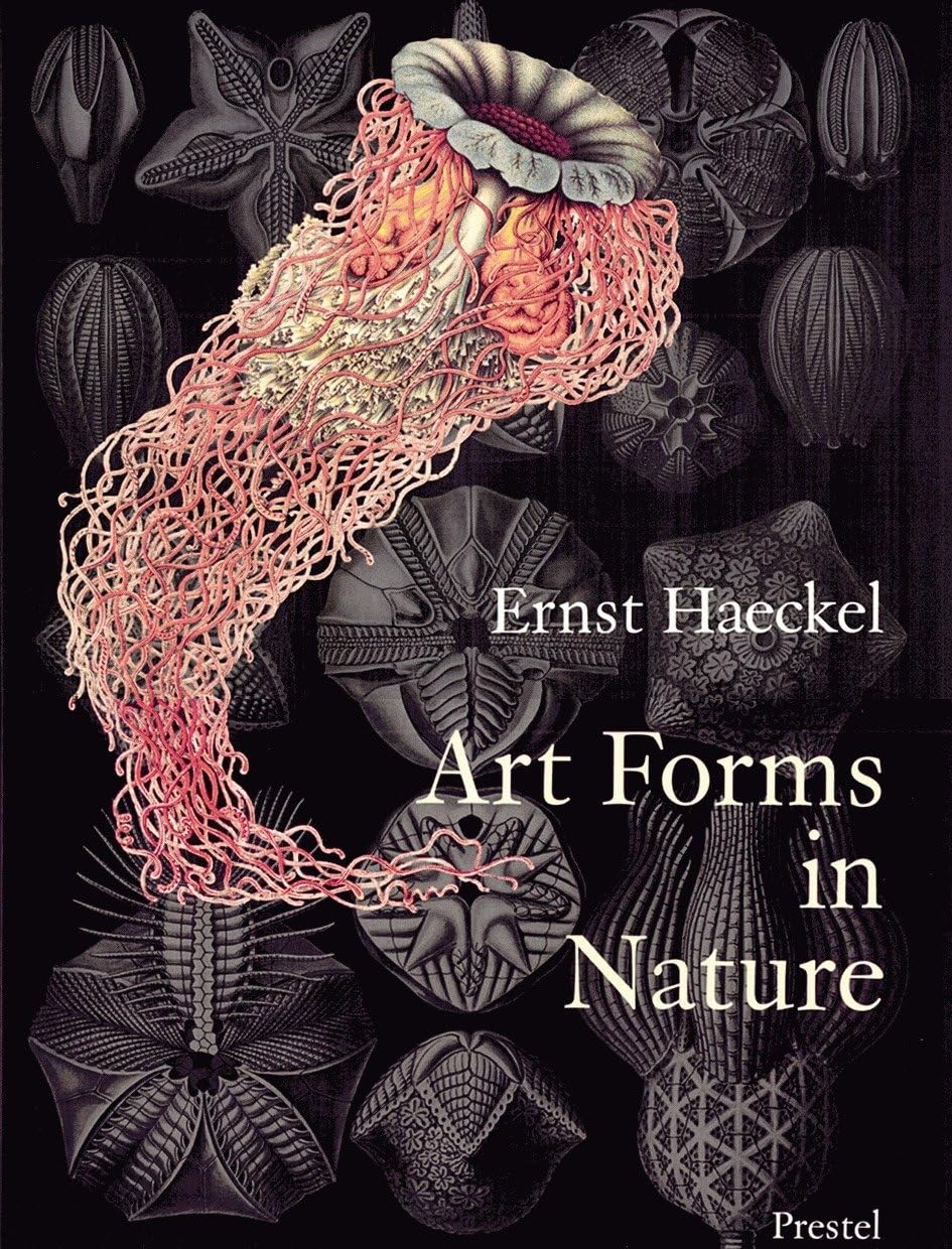 Art Forms In Nature: The Prints Of Ernst Haeckel
