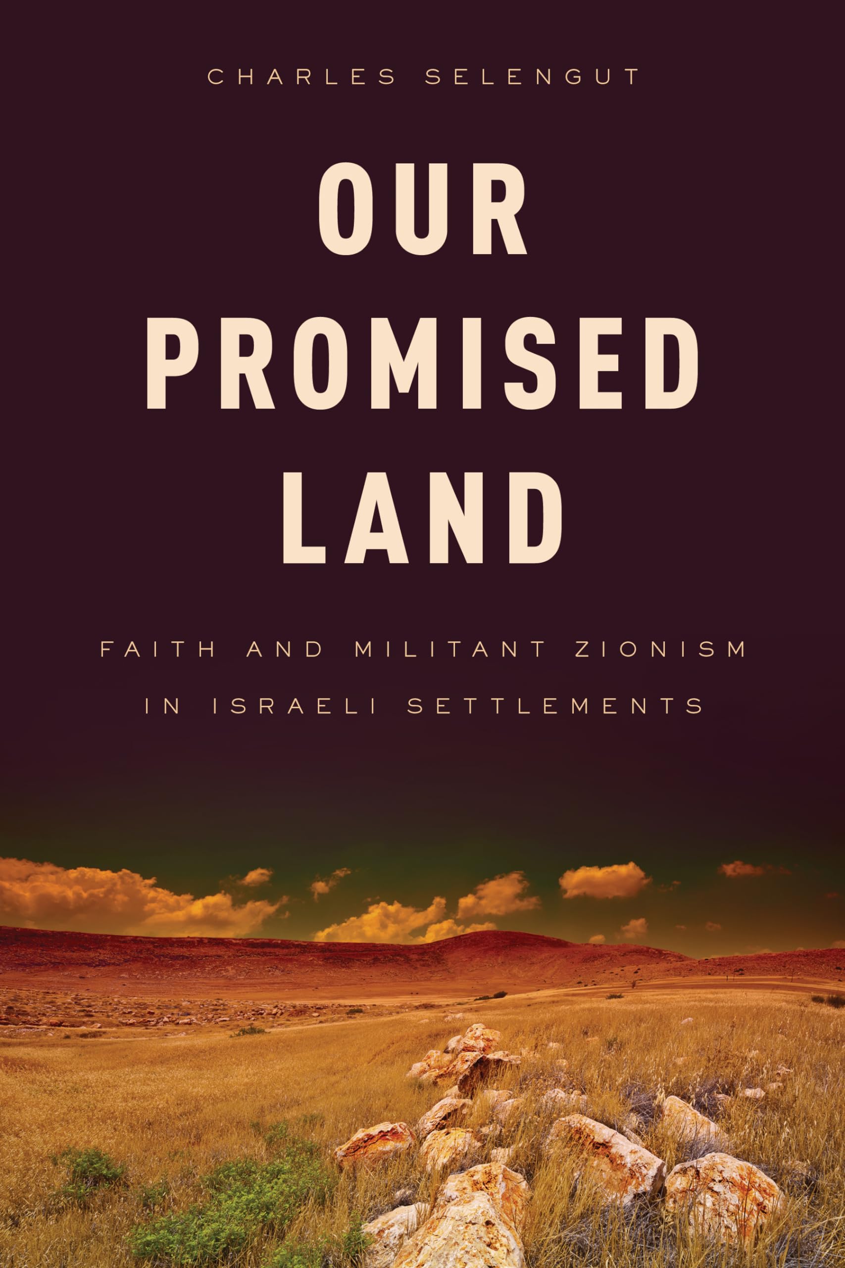 Our Promised Land: Faith and Militant Zionism in Israeli Settlements,Used