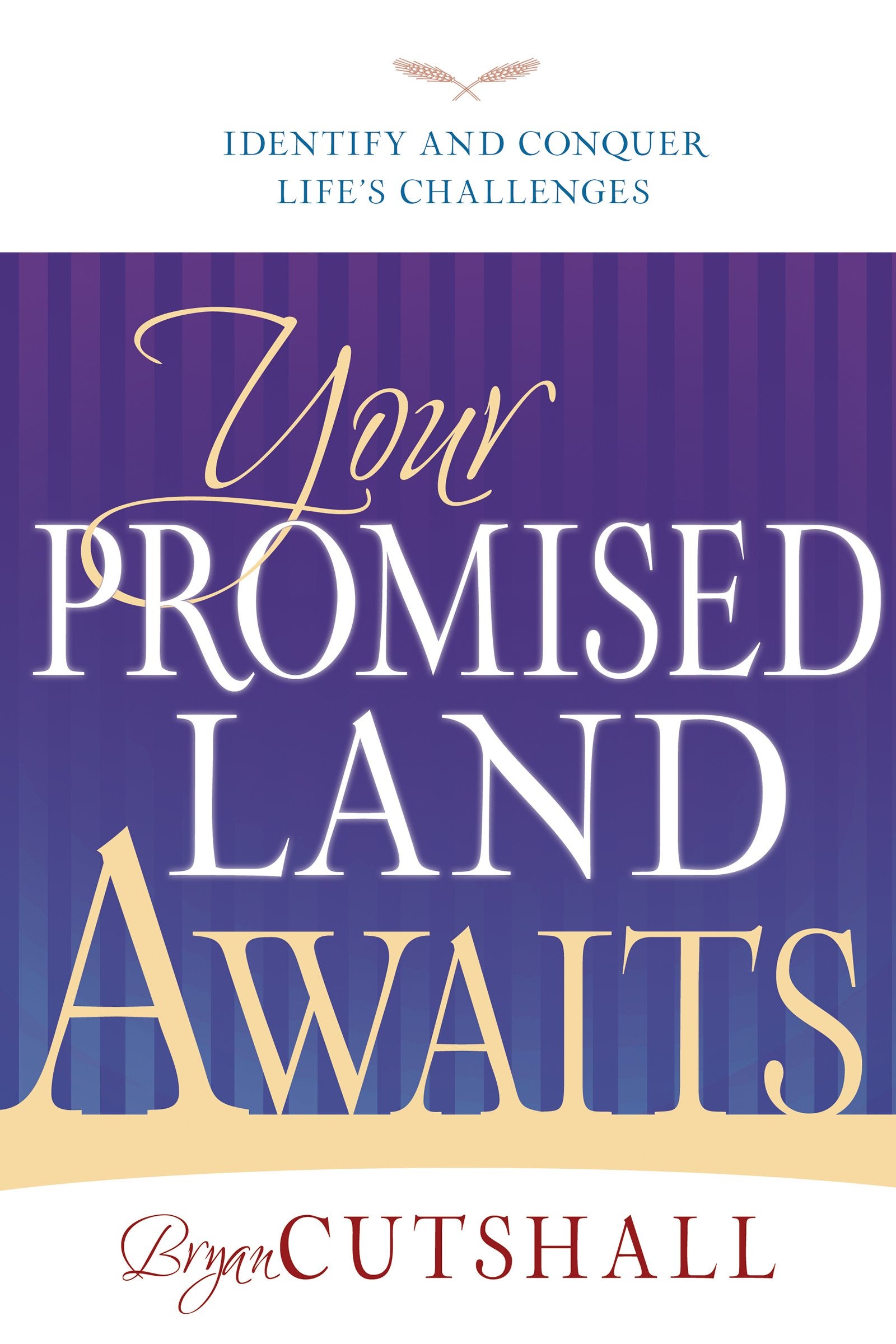 Your Promised Land Awaits: Identify And Conquer Lifes Challenges,Used