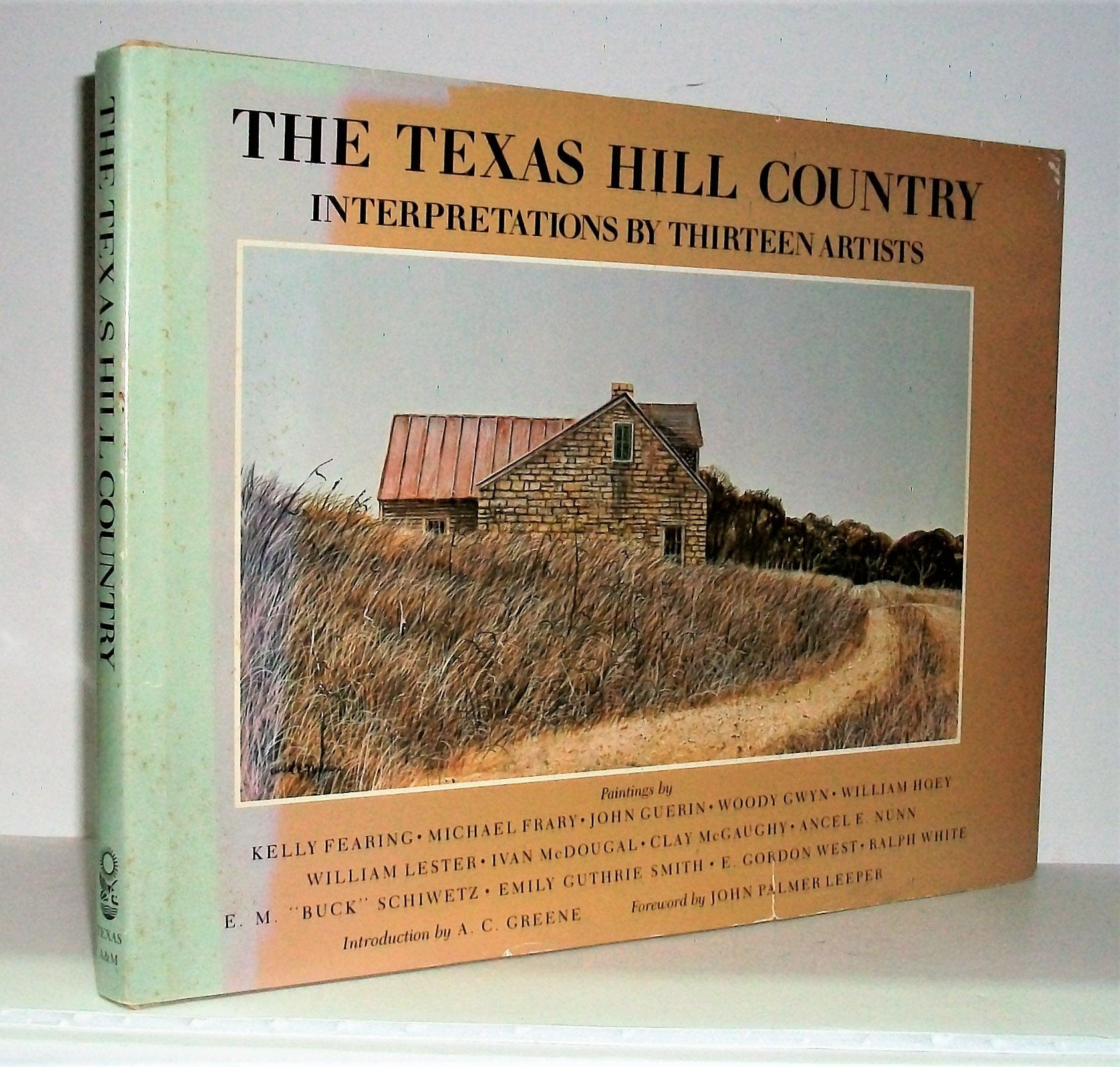 The Texas Hill Country: Interpretations by Thirteen Artists (Joe and Betty Moore Texas Art Series),Used