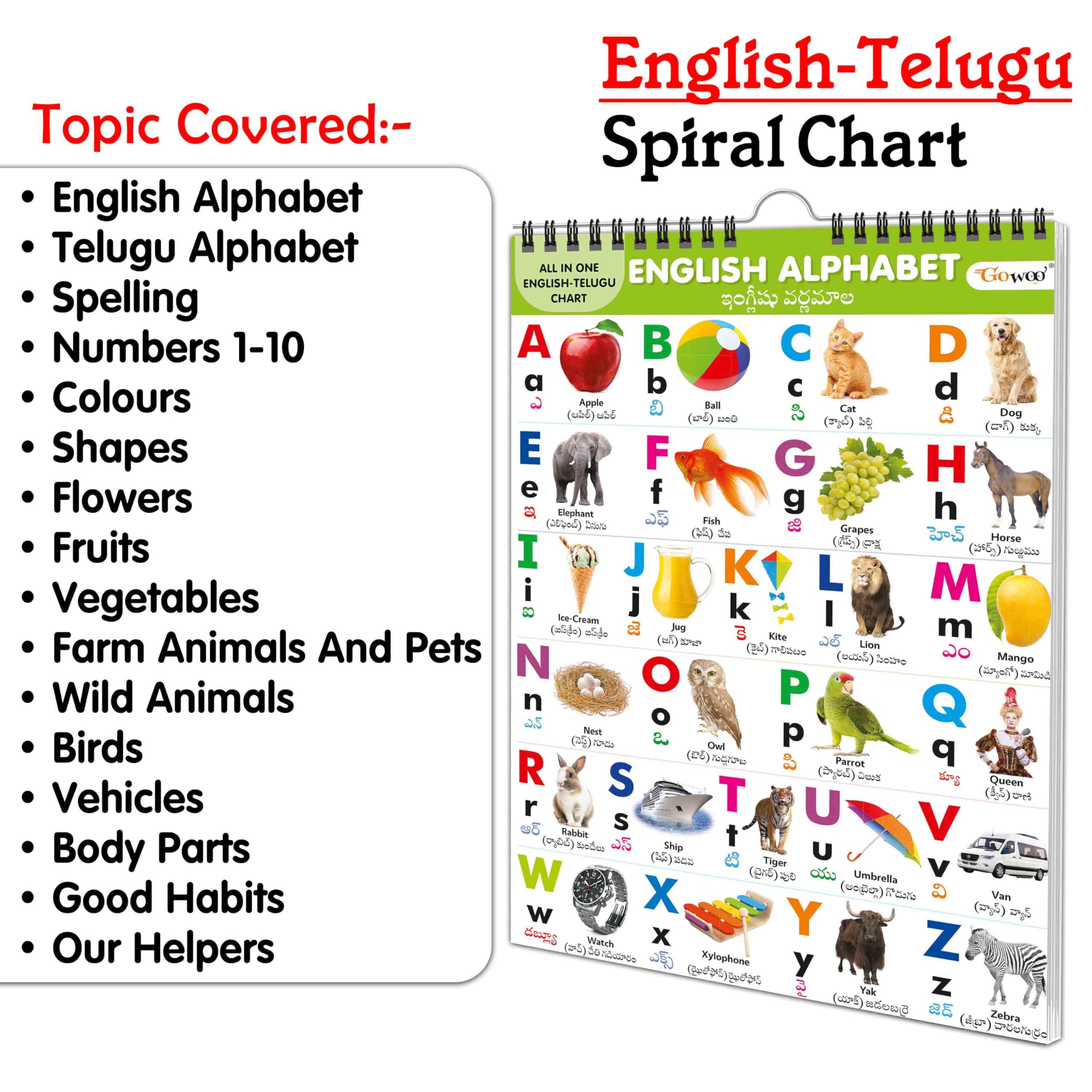 My First All In One Spiral Chart English-Telugu : With 16 Topics : (Big Fonts And Realistic Pictures) Kids Chart