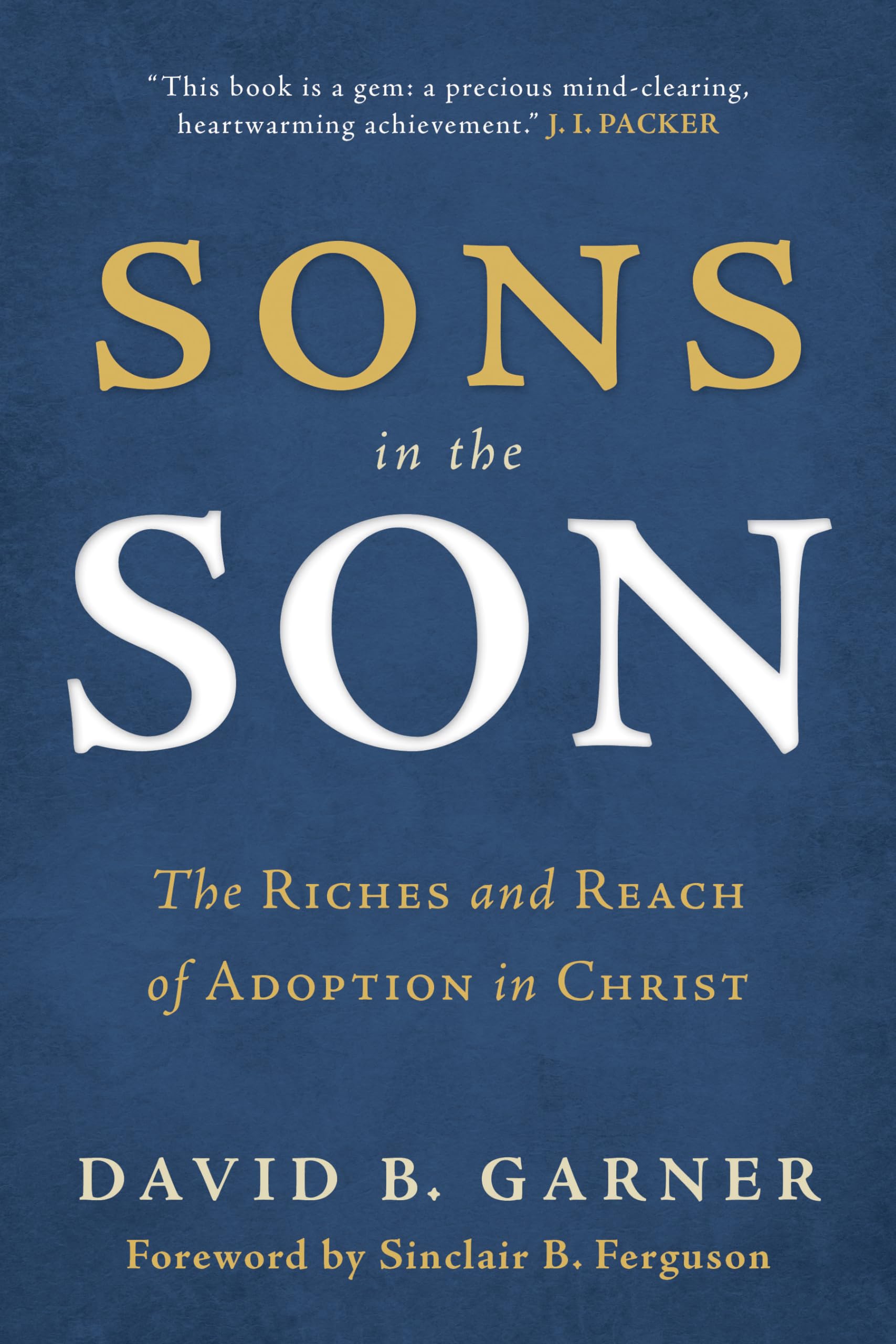 Sons in the Son: The Riches and Reach of Adoption in Christ,Used
