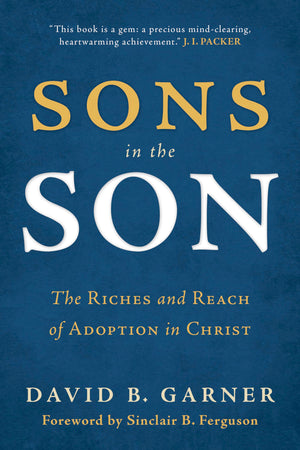 Sons in the Son: The Riches and Reach of Adoption in Christ,Used