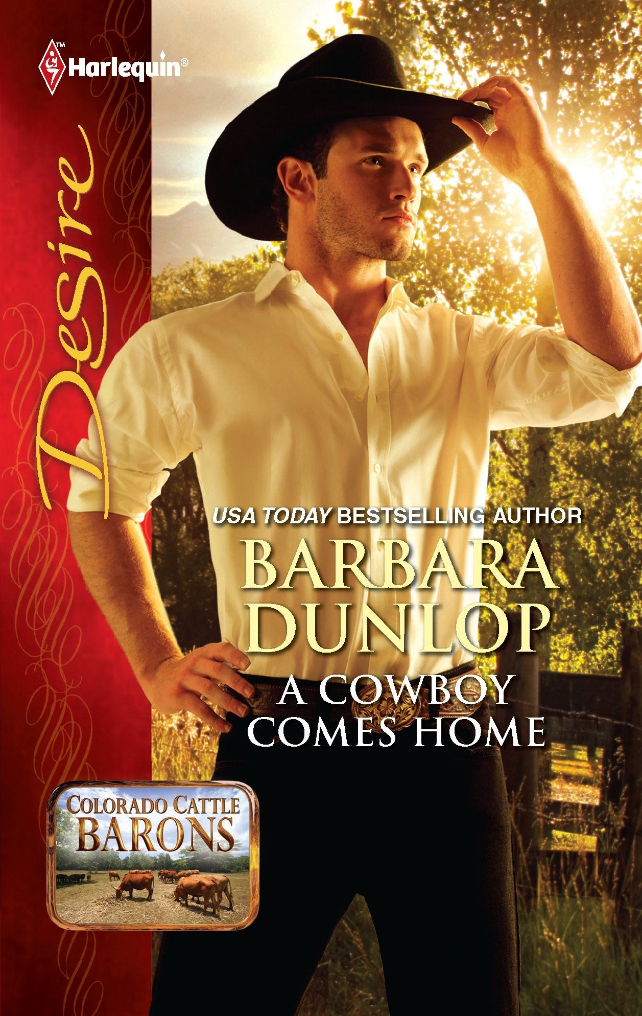 A Cowboy Comes Home,Used