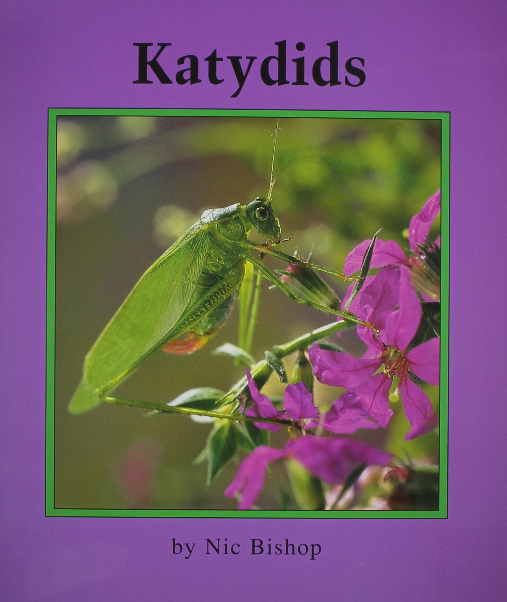 Katydids (Books For Young Learners),Used