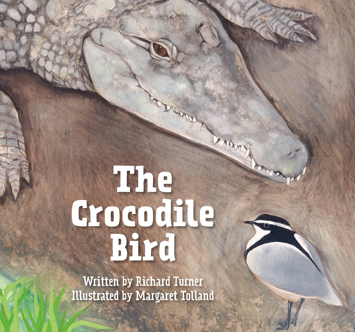 The Crocodile Bird,Used