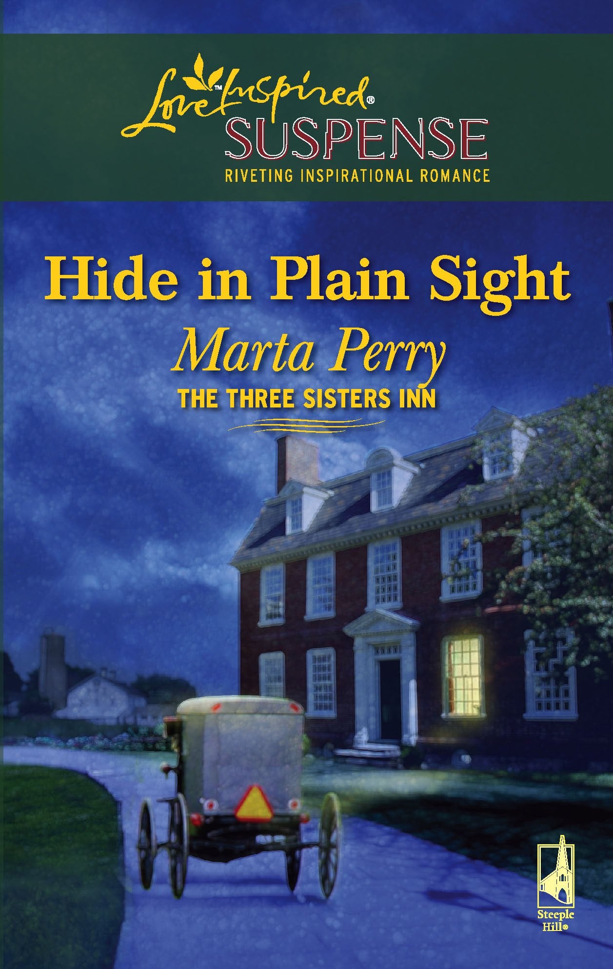 Hide in Plain Sight (Three Sisters Inn, Book 1),Used