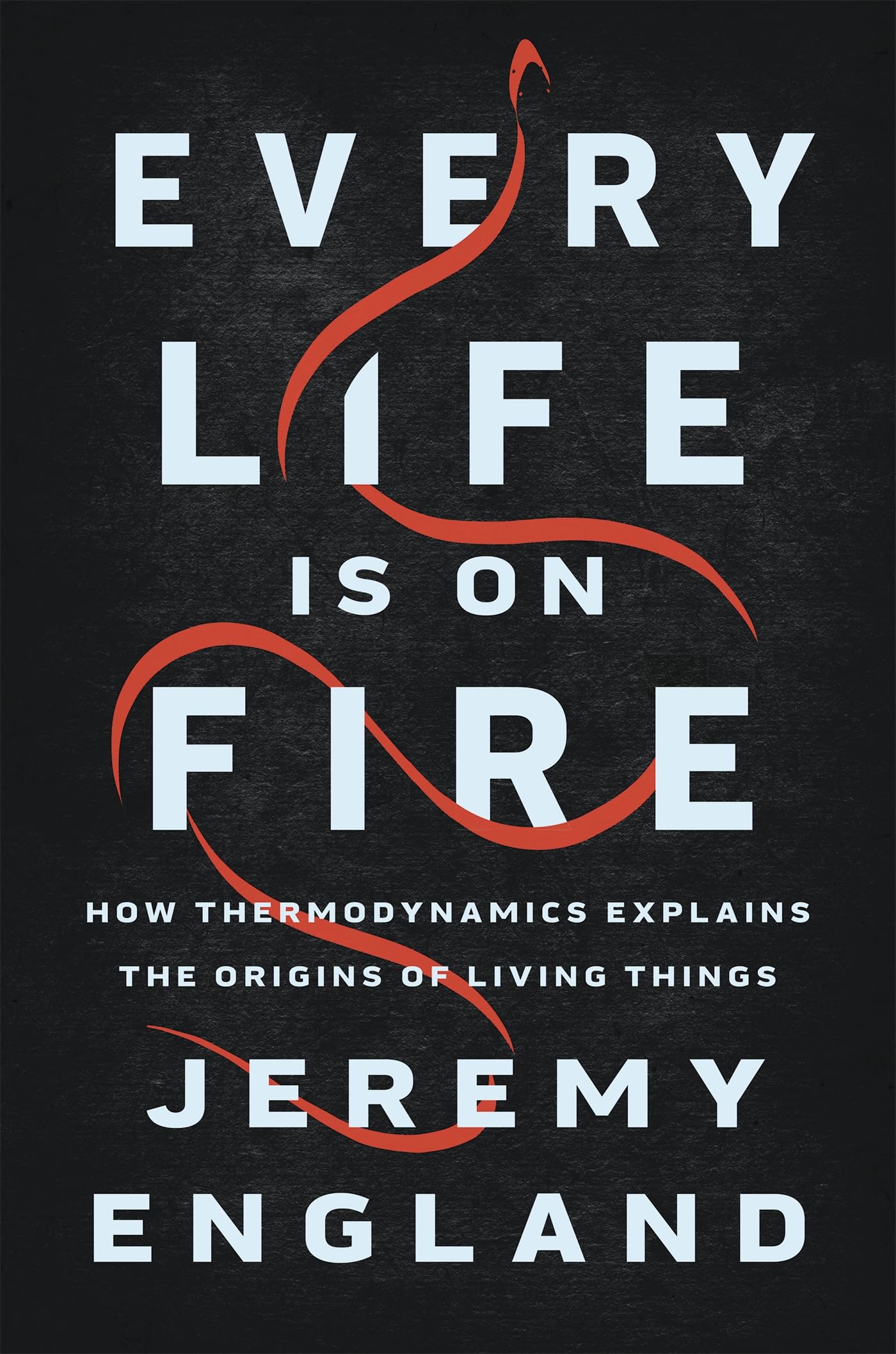 Every Life Is on Fire: How Thermodynamics Explains the Origins of Living Things,Used