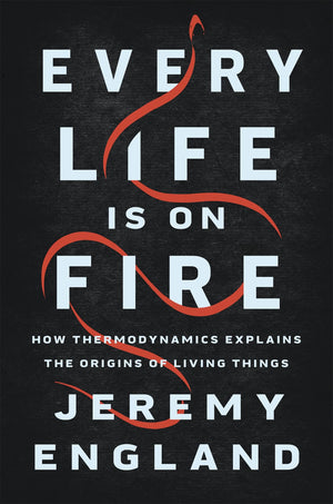 Every Life Is on Fire: How Thermodynamics Explains the Origins of Living Things,Used