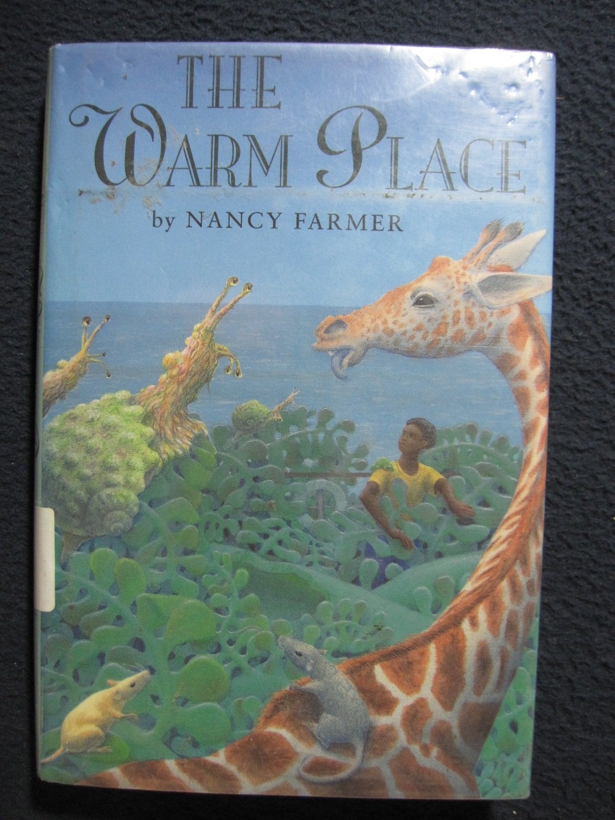 The Warm Place,Used