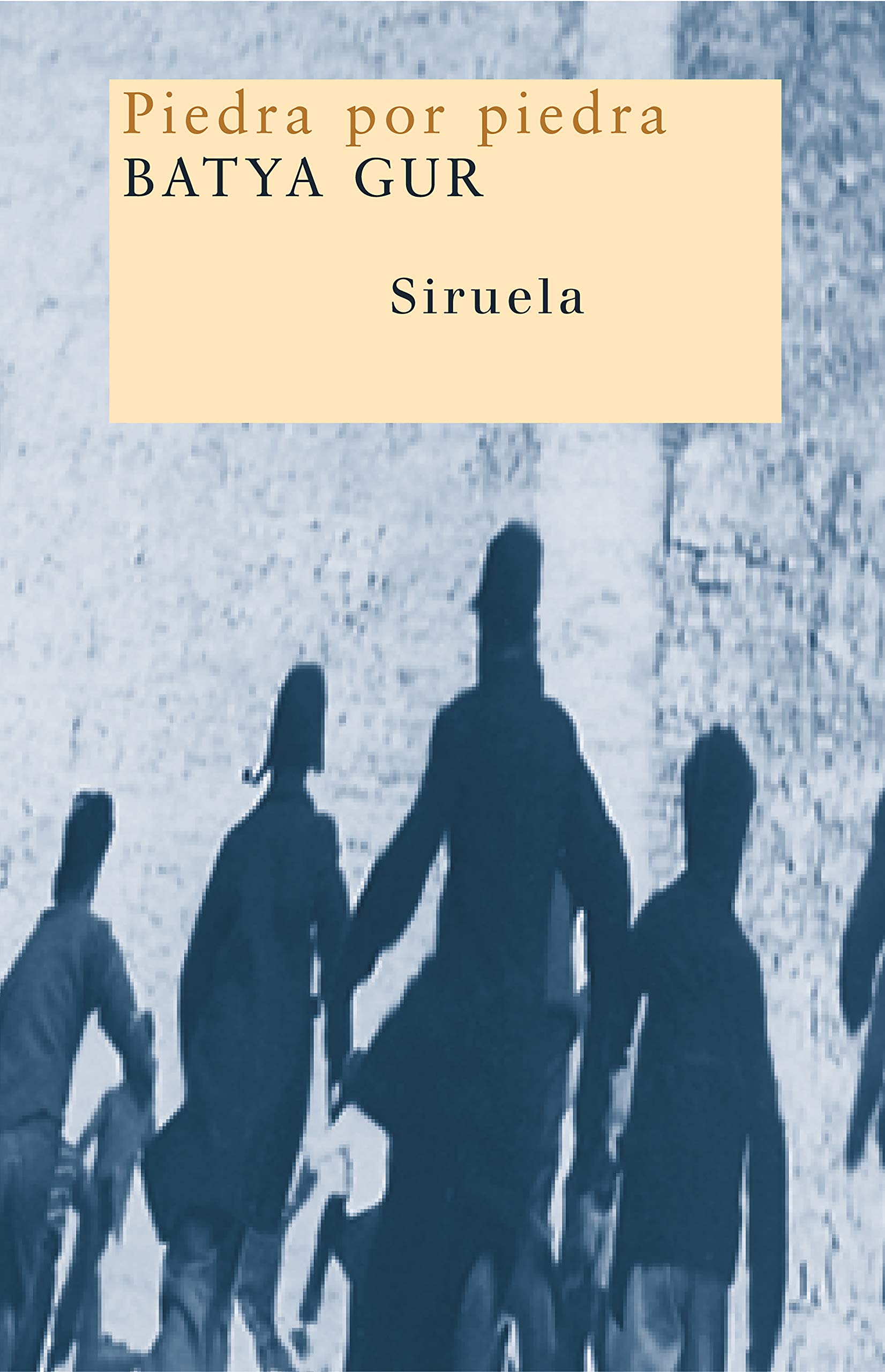 Piedra por piedra (Nuevos Tiempos/ New Times) (Spanish Edition),Used