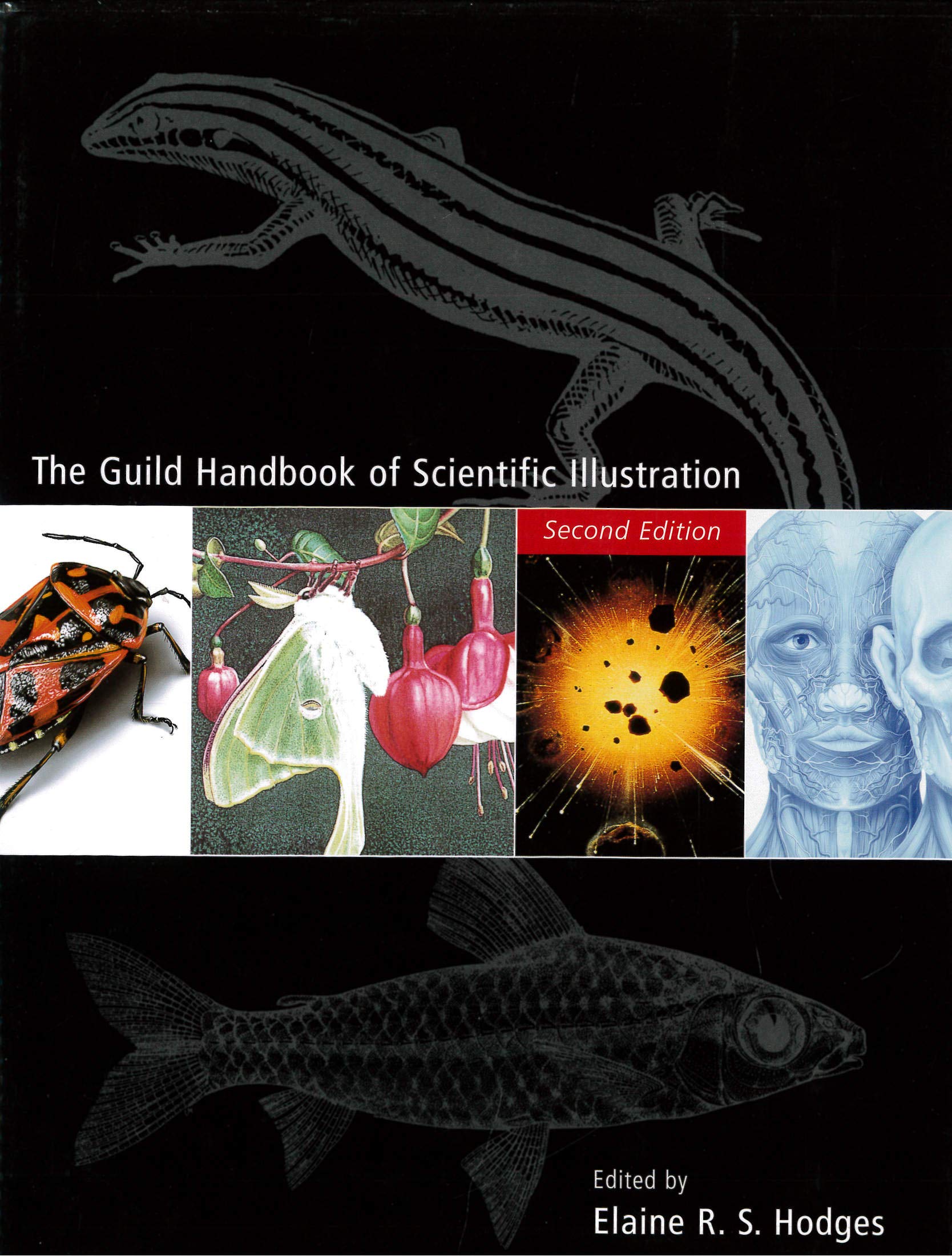 The Guild Handbook of Scientific Illustration,Used
